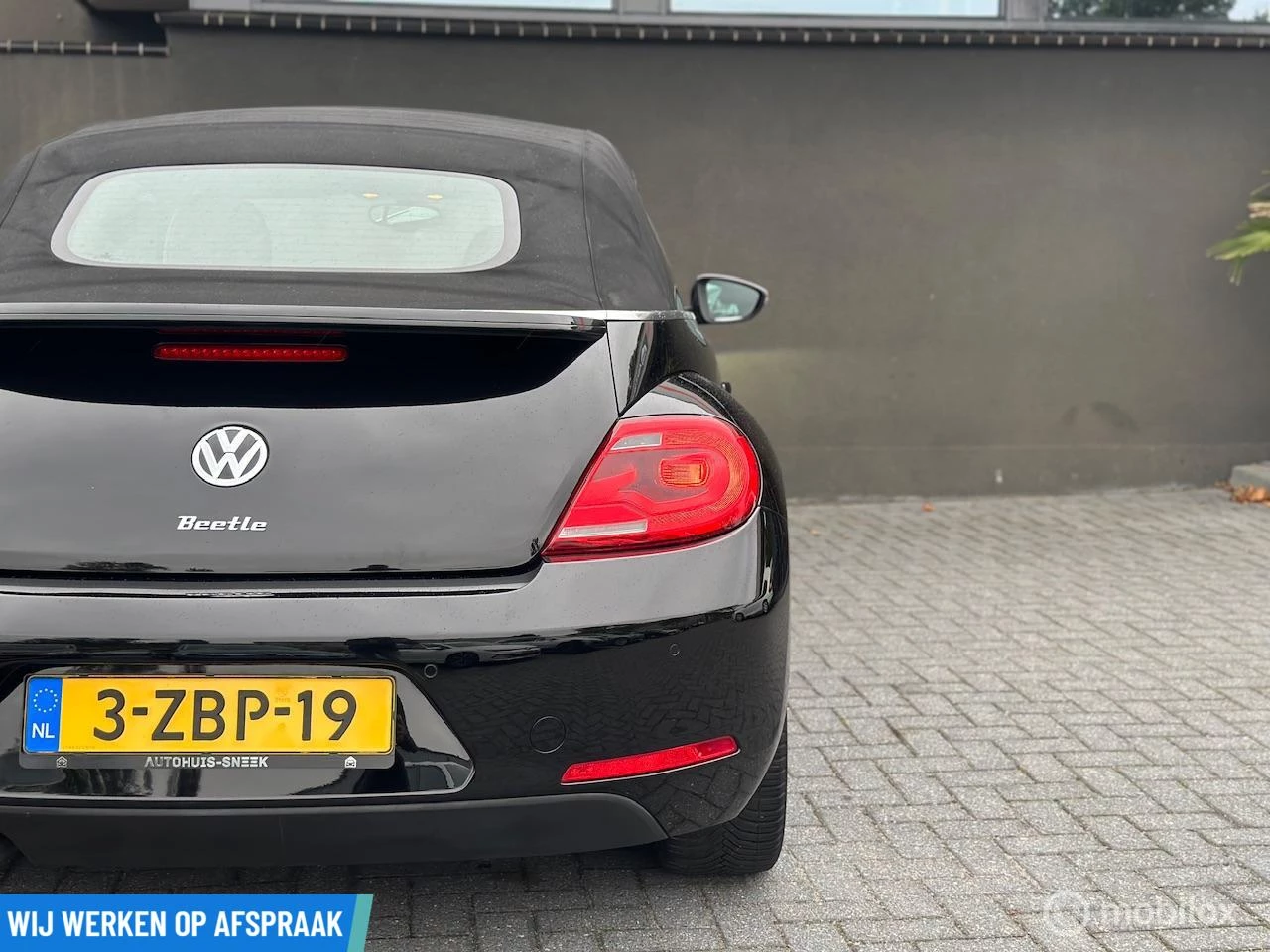 Hoofdafbeelding Volkswagen Beetle