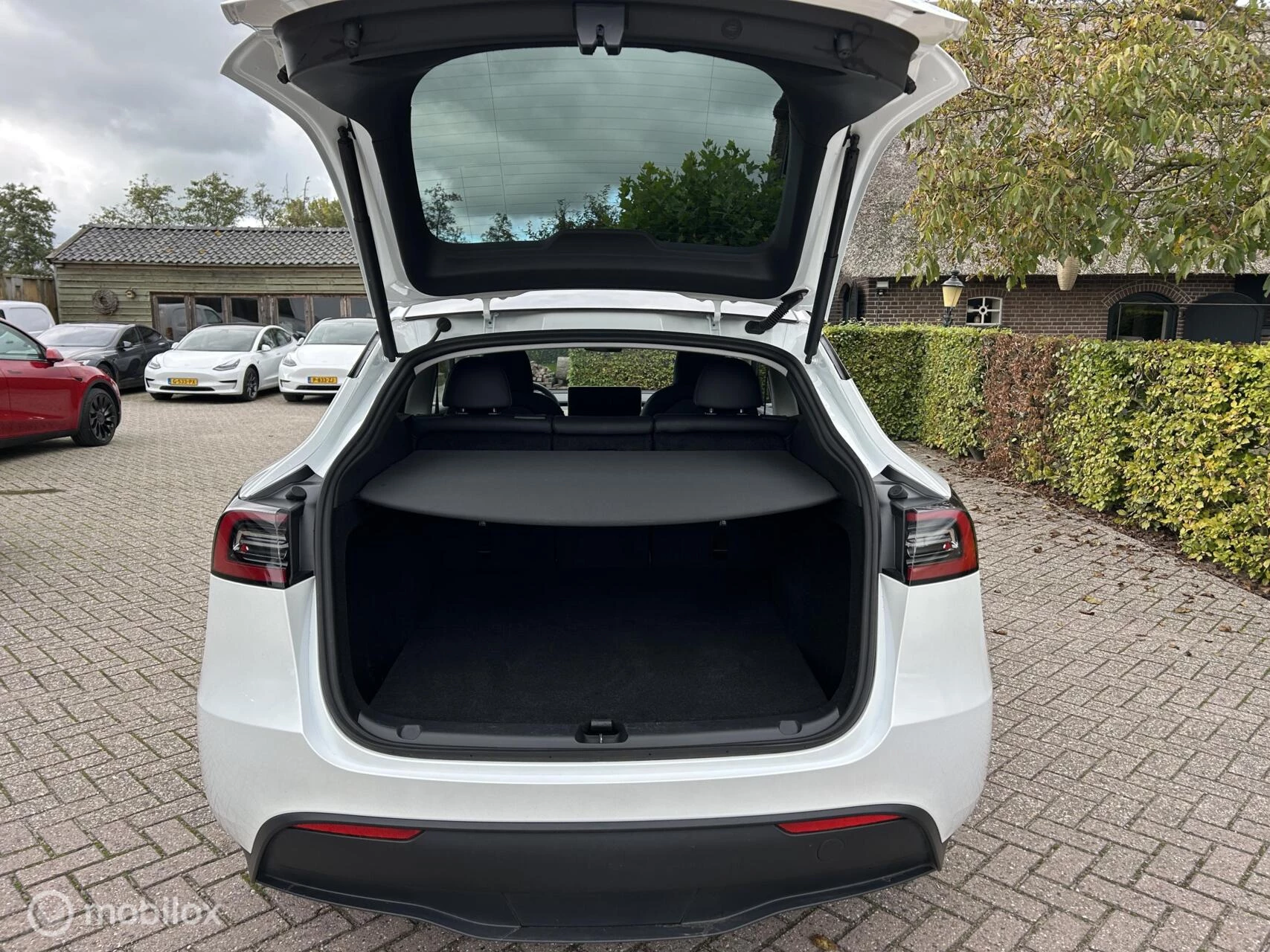 Hoofdafbeelding Tesla Model Y