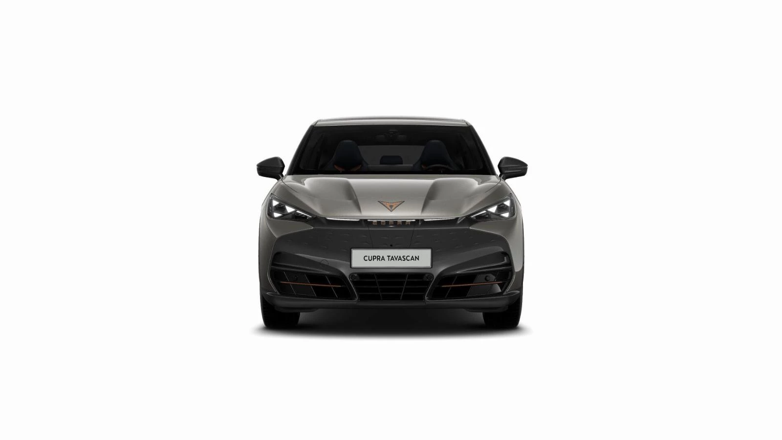 Hoofdafbeelding CUPRA Tavascan