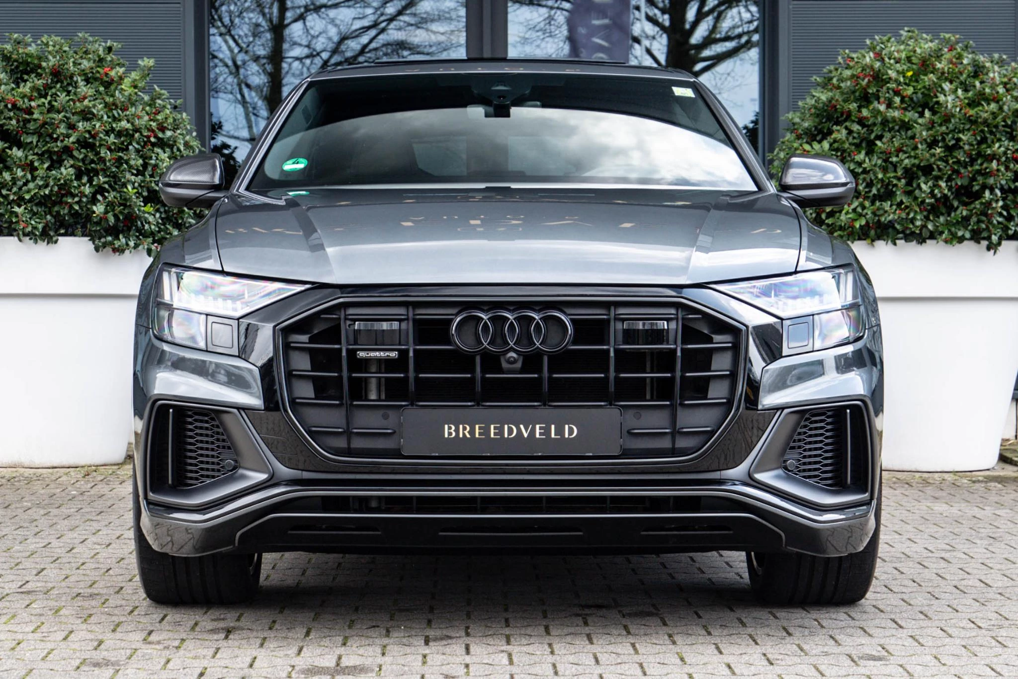 Hoofdafbeelding Audi Q8