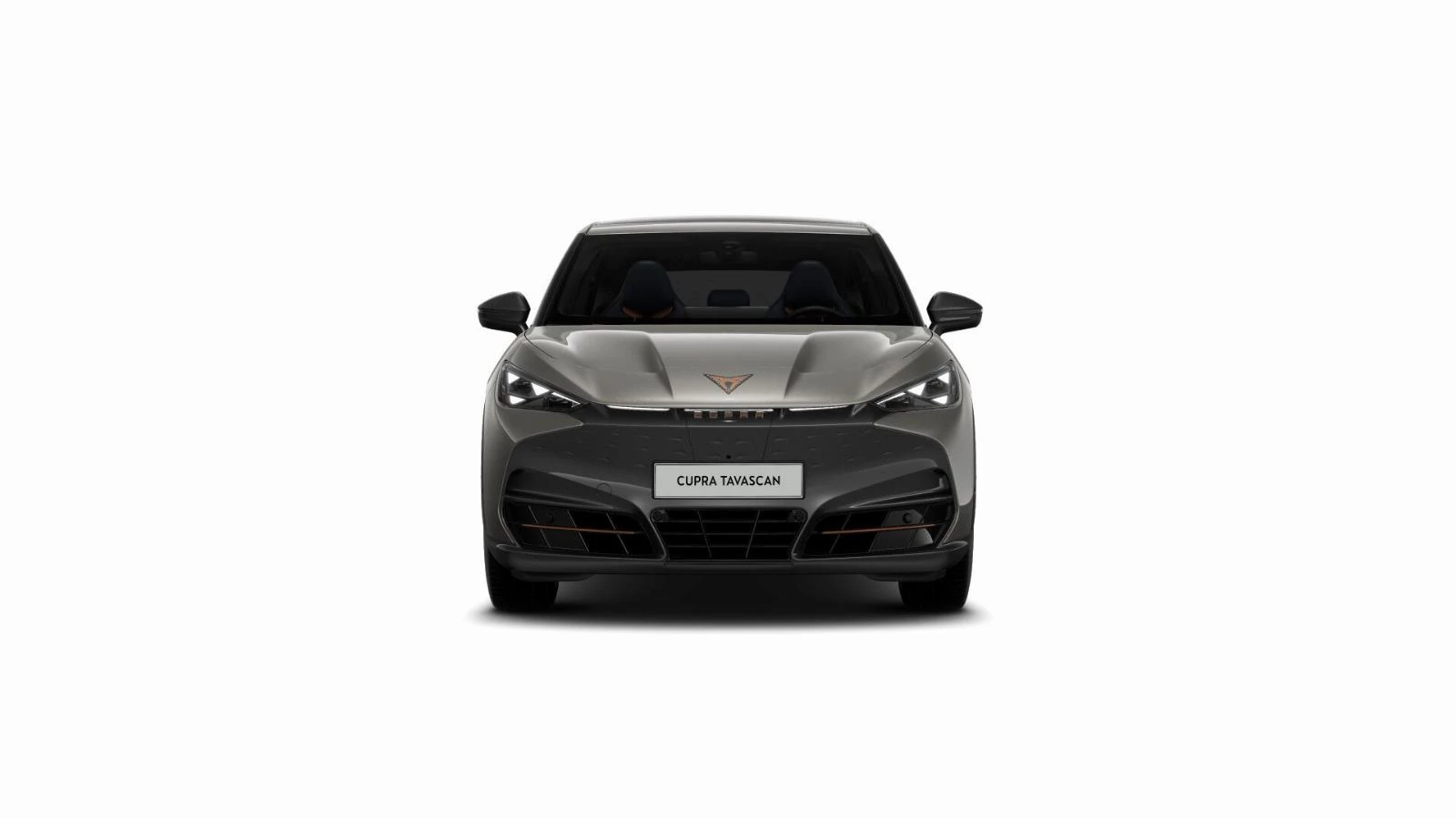 Hoofdafbeelding CUPRA Tavascan