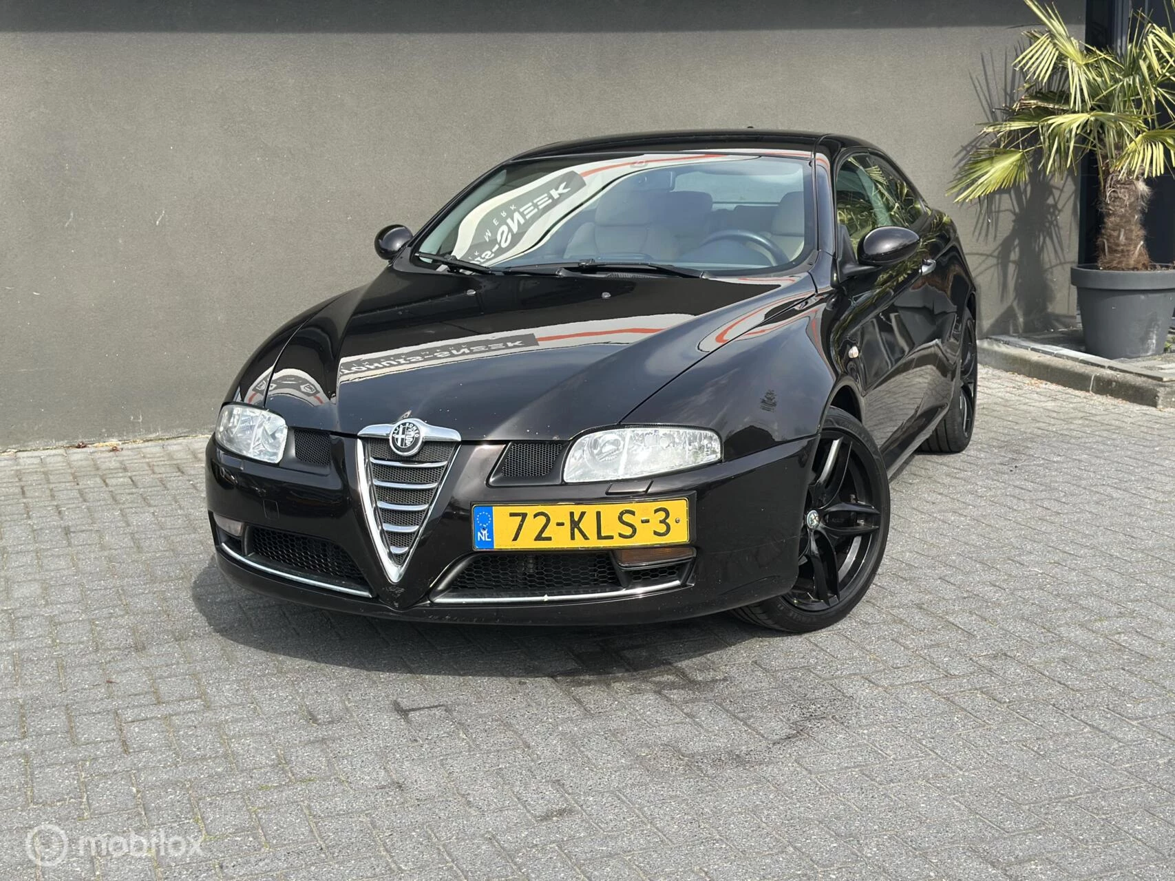 Hoofdafbeelding Alfa Romeo GT