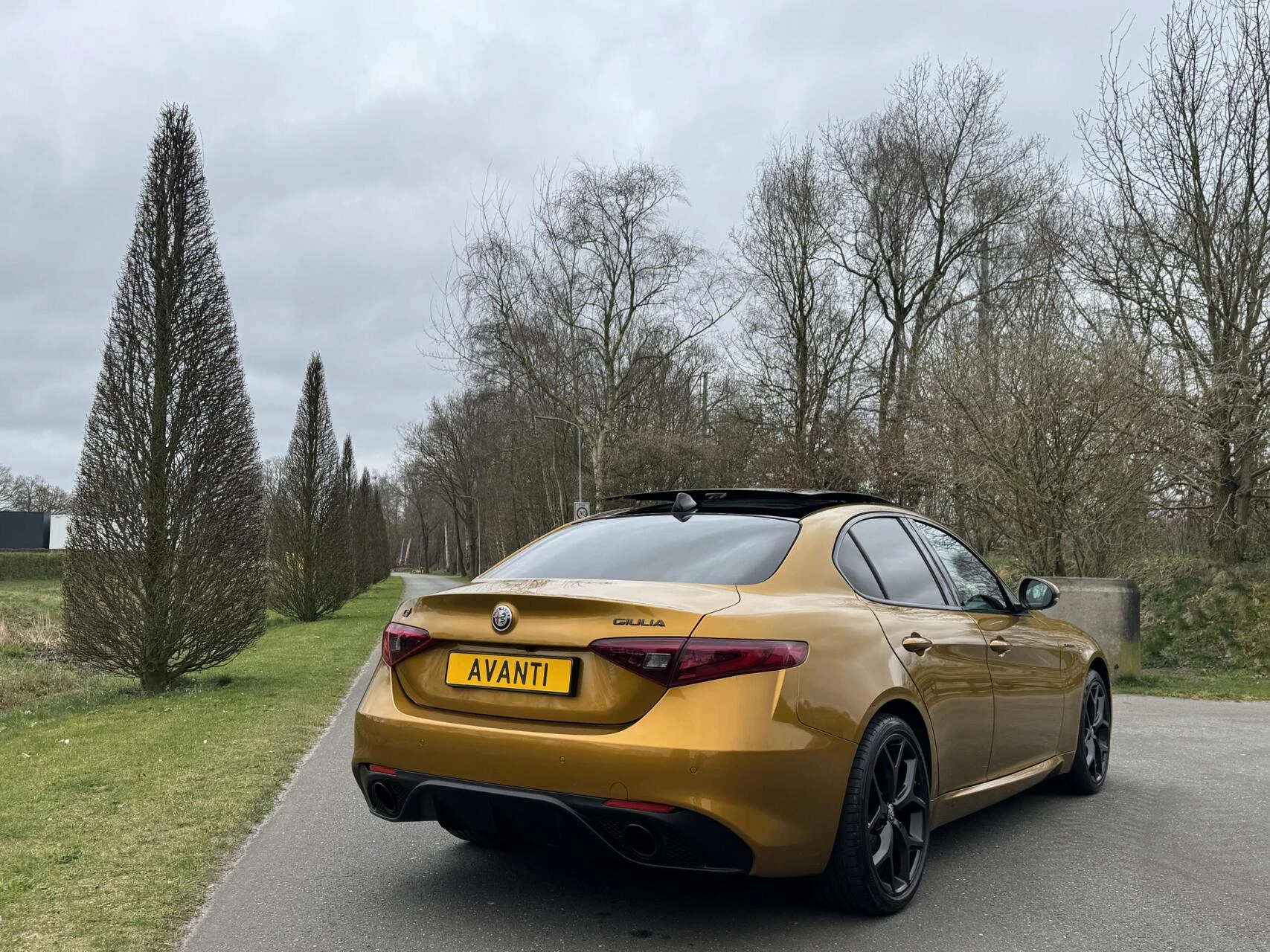 Hoofdafbeelding Alfa Romeo Giulia