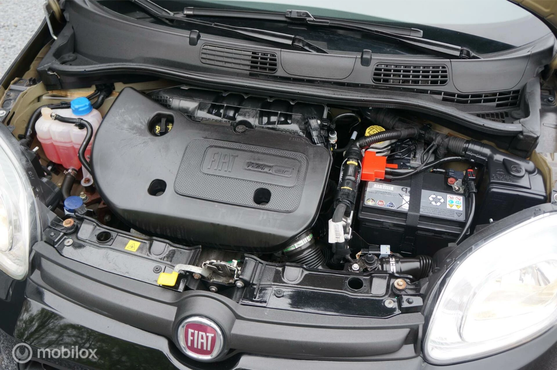 Hoofdafbeelding Fiat Panda