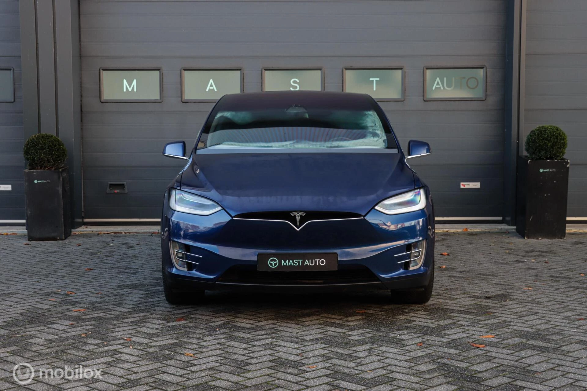 Hoofdafbeelding Tesla Model X