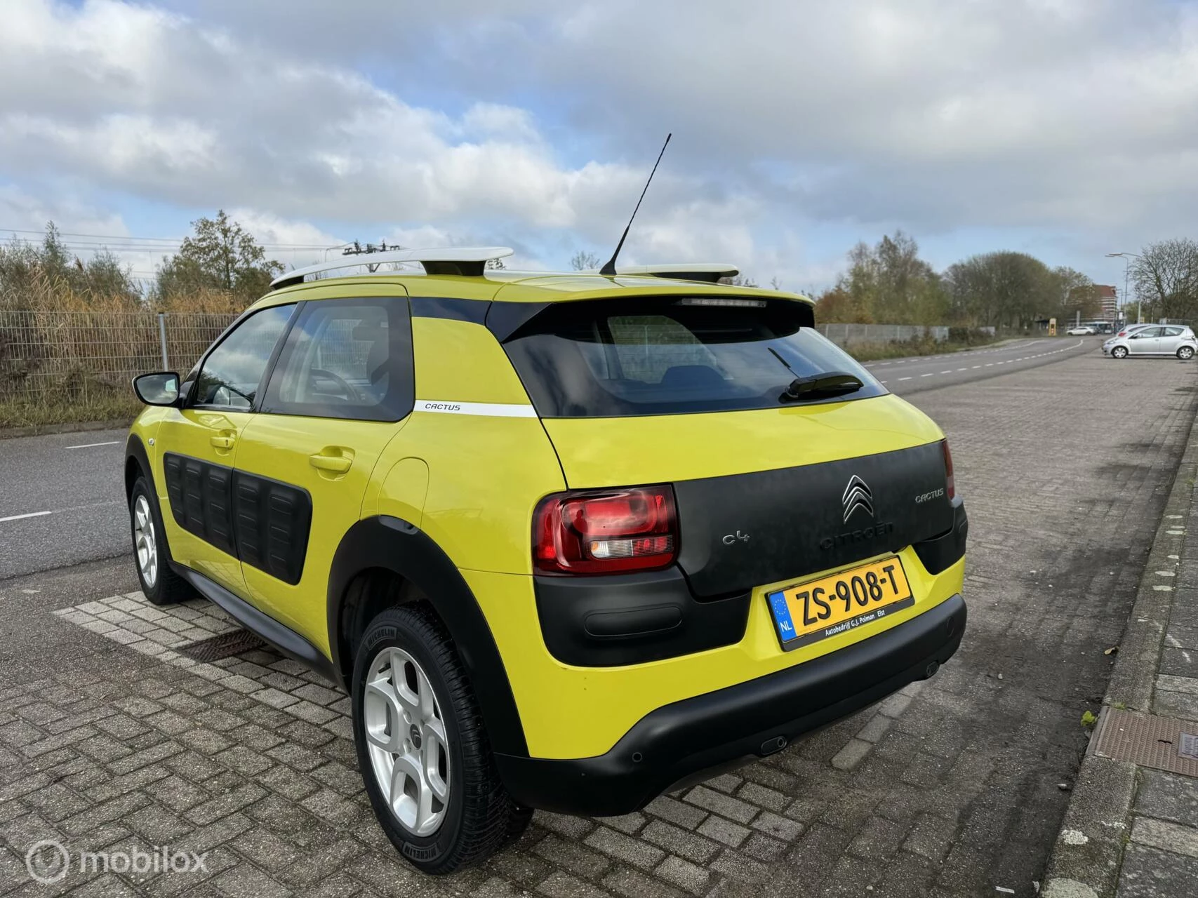 Hoofdafbeelding Citroën C4 Cactus