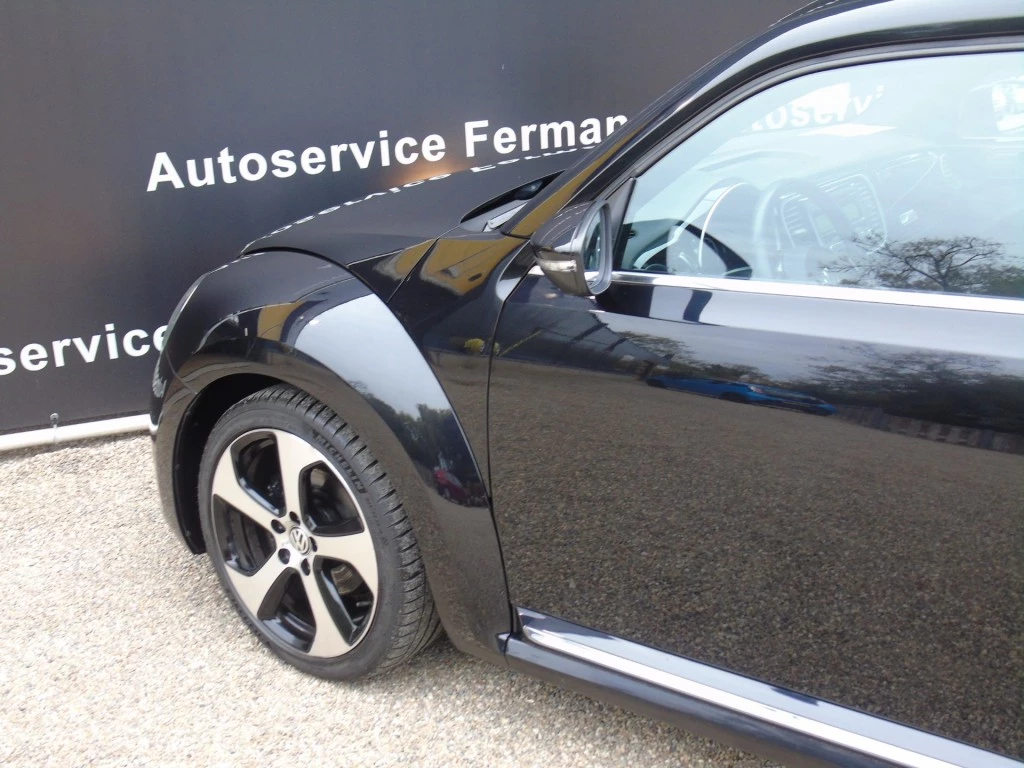 Hoofdafbeelding Volkswagen Beetle