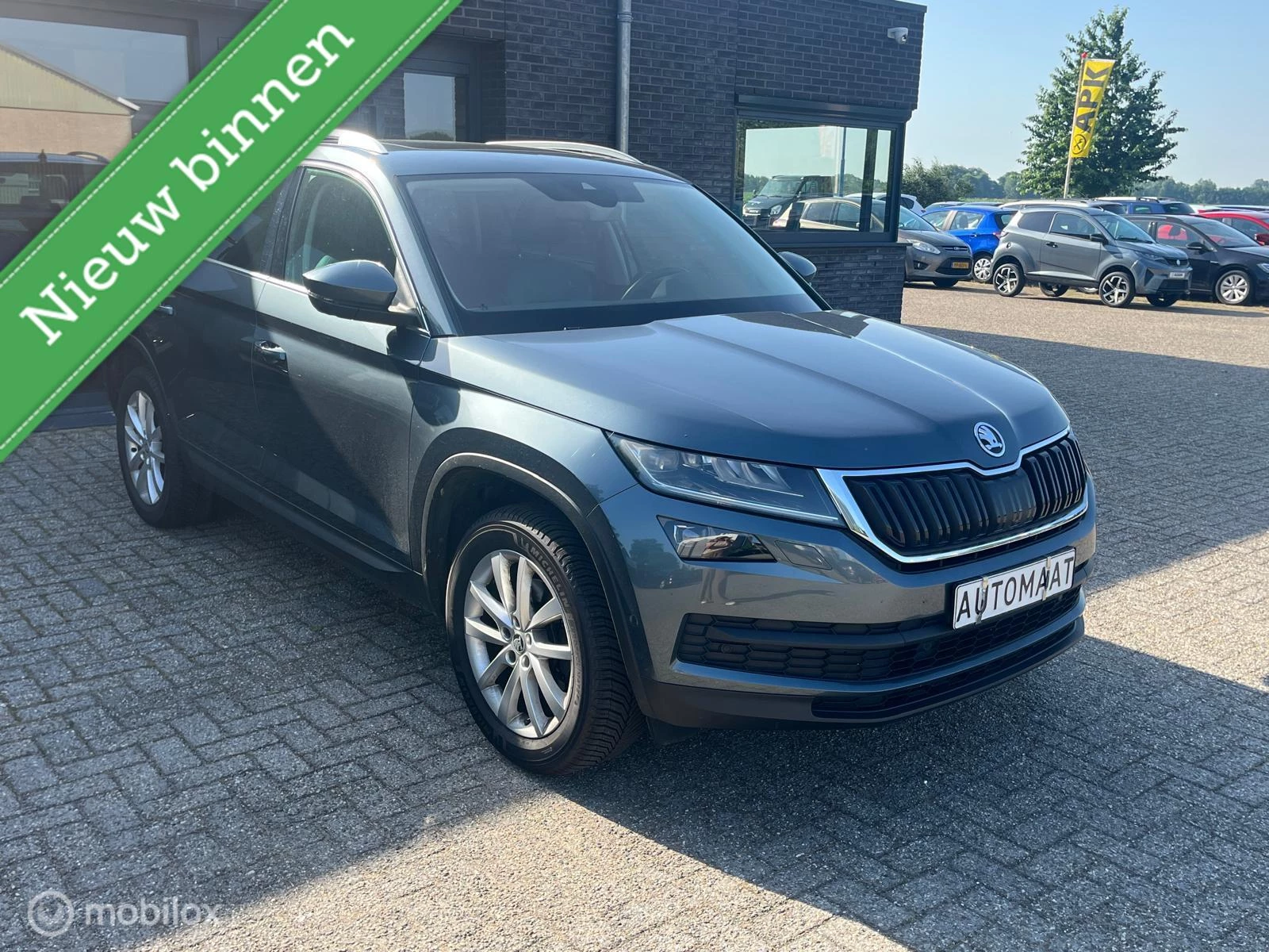Hoofdafbeelding Škoda Kodiaq