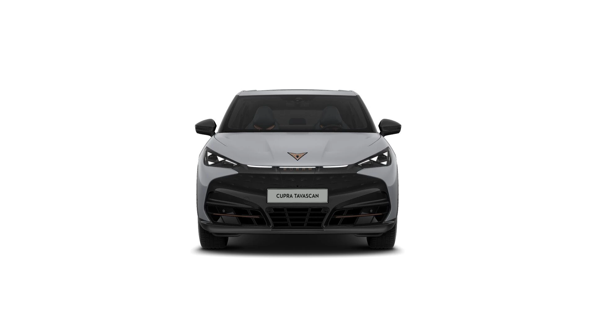 Hoofdafbeelding CUPRA Tavascan