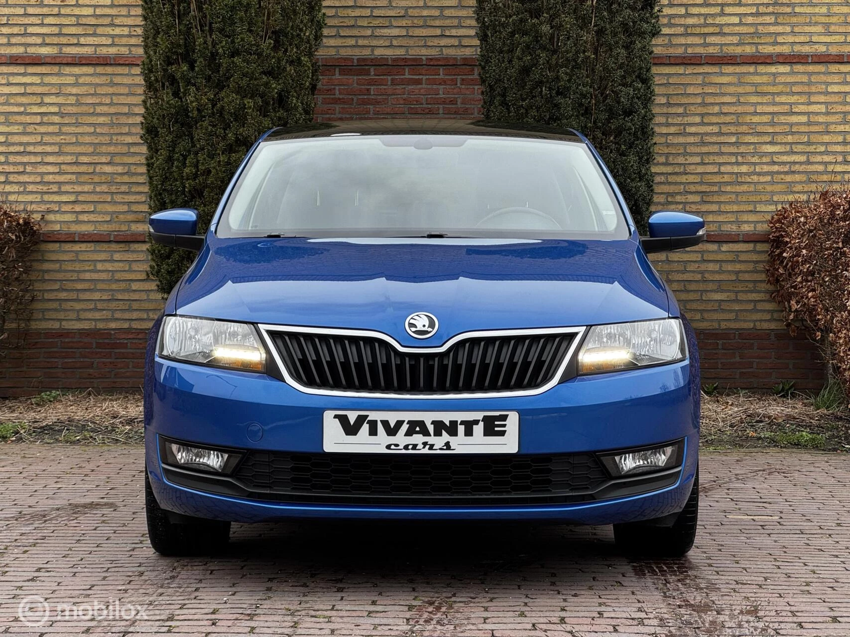 Hoofdafbeelding Škoda Rapid