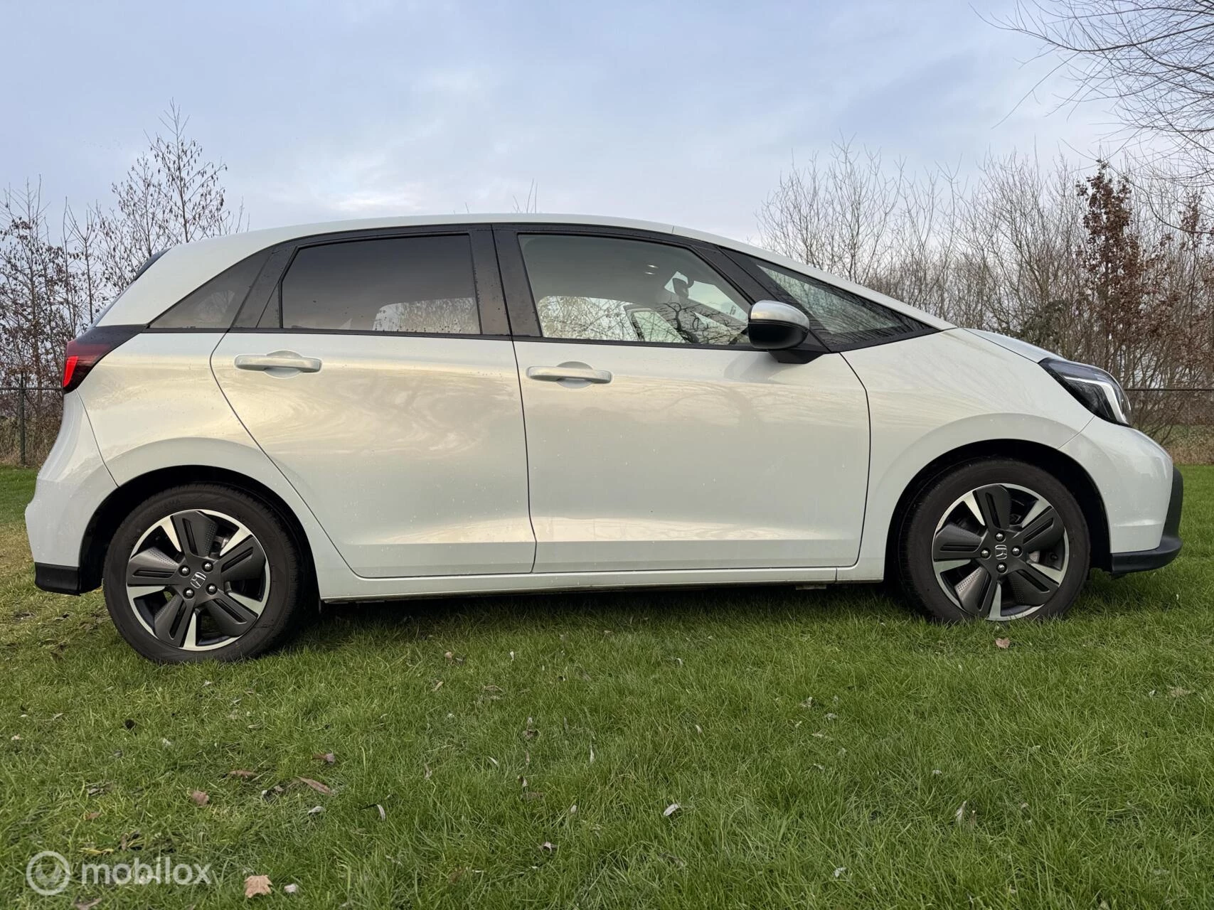 Hoofdafbeelding Honda Jazz