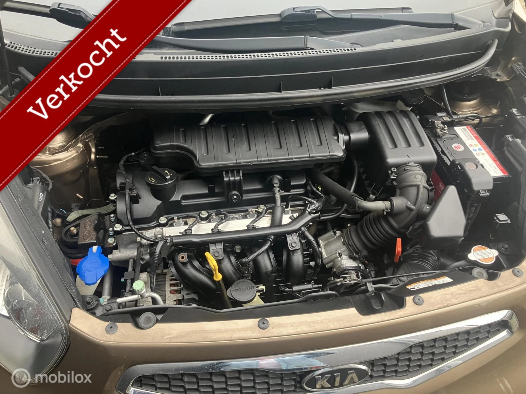 Hoofdafbeelding Kia Picanto