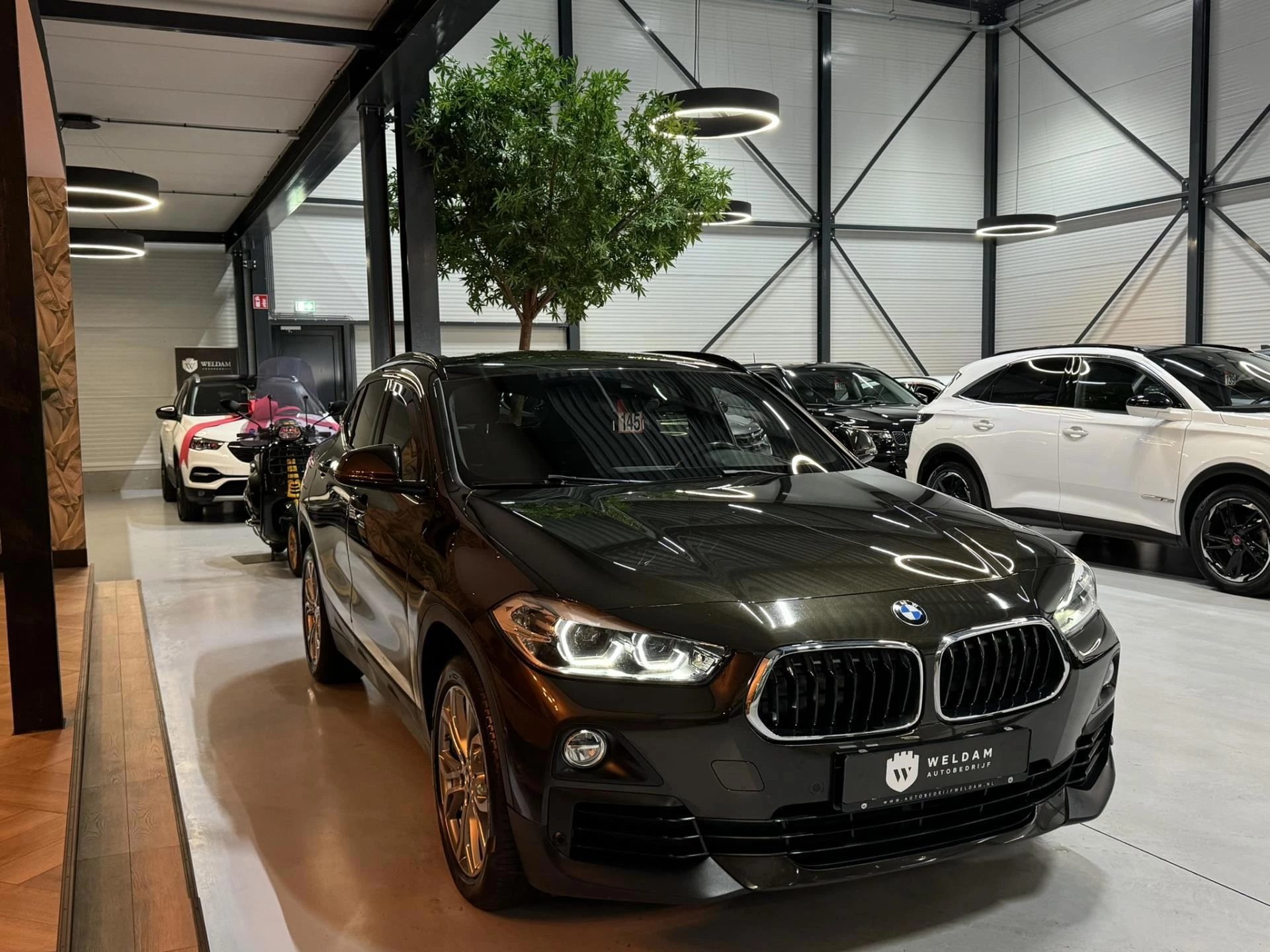 Hoofdafbeelding BMW X2