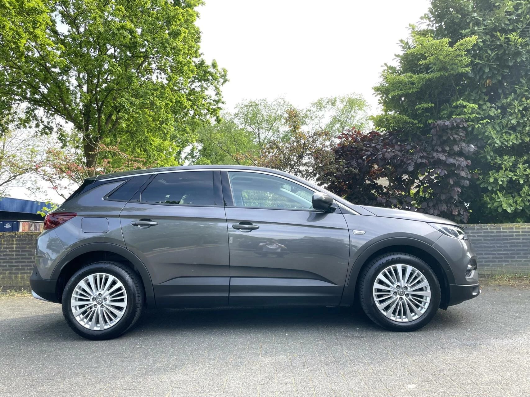 Hoofdafbeelding Opel Grandland X