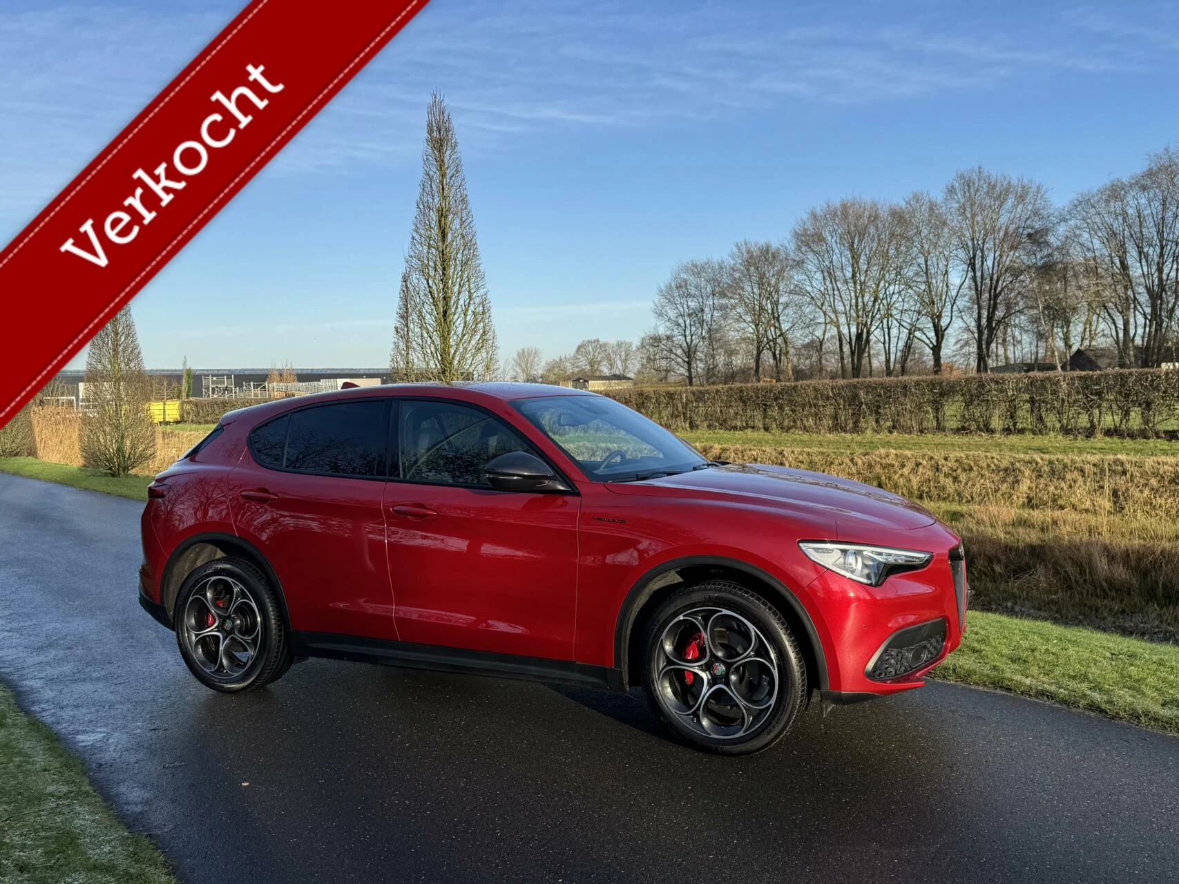 Hoofdafbeelding Alfa Romeo Stelvio