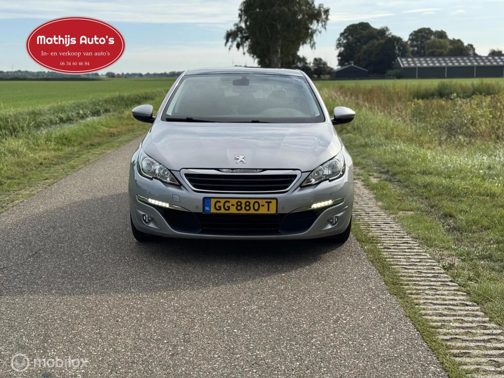 Hoofdafbeelding Peugeot 308