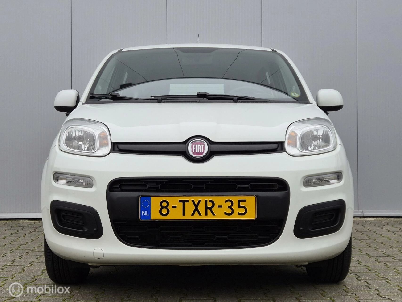 Hoofdafbeelding Fiat Panda