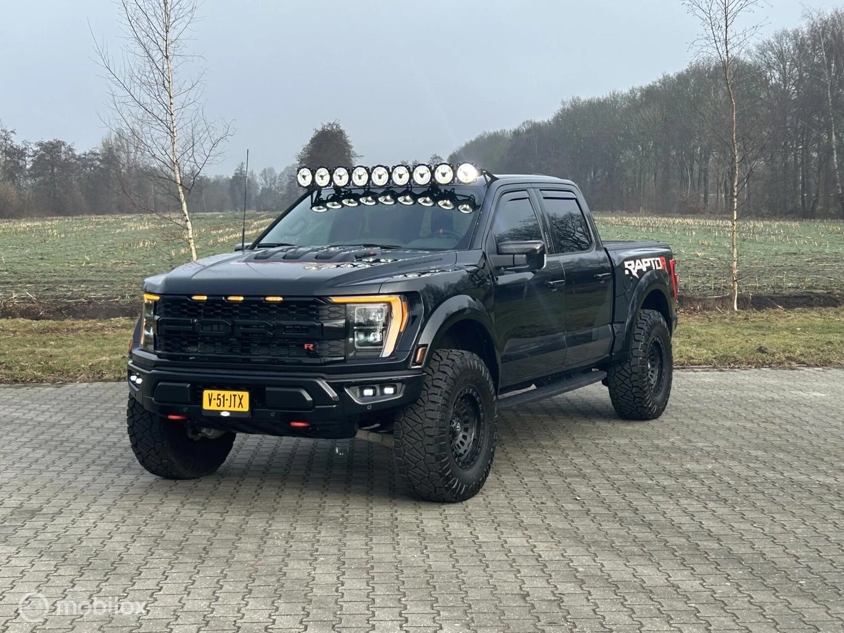 Hoofdafbeelding Ford F-150