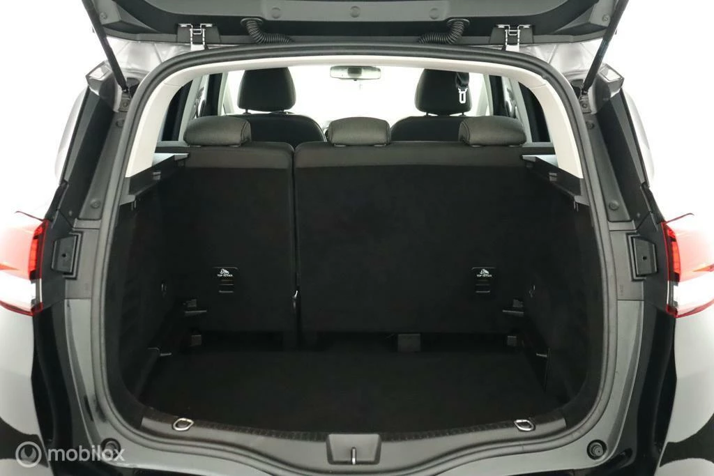 Hoofdafbeelding Renault Scénic