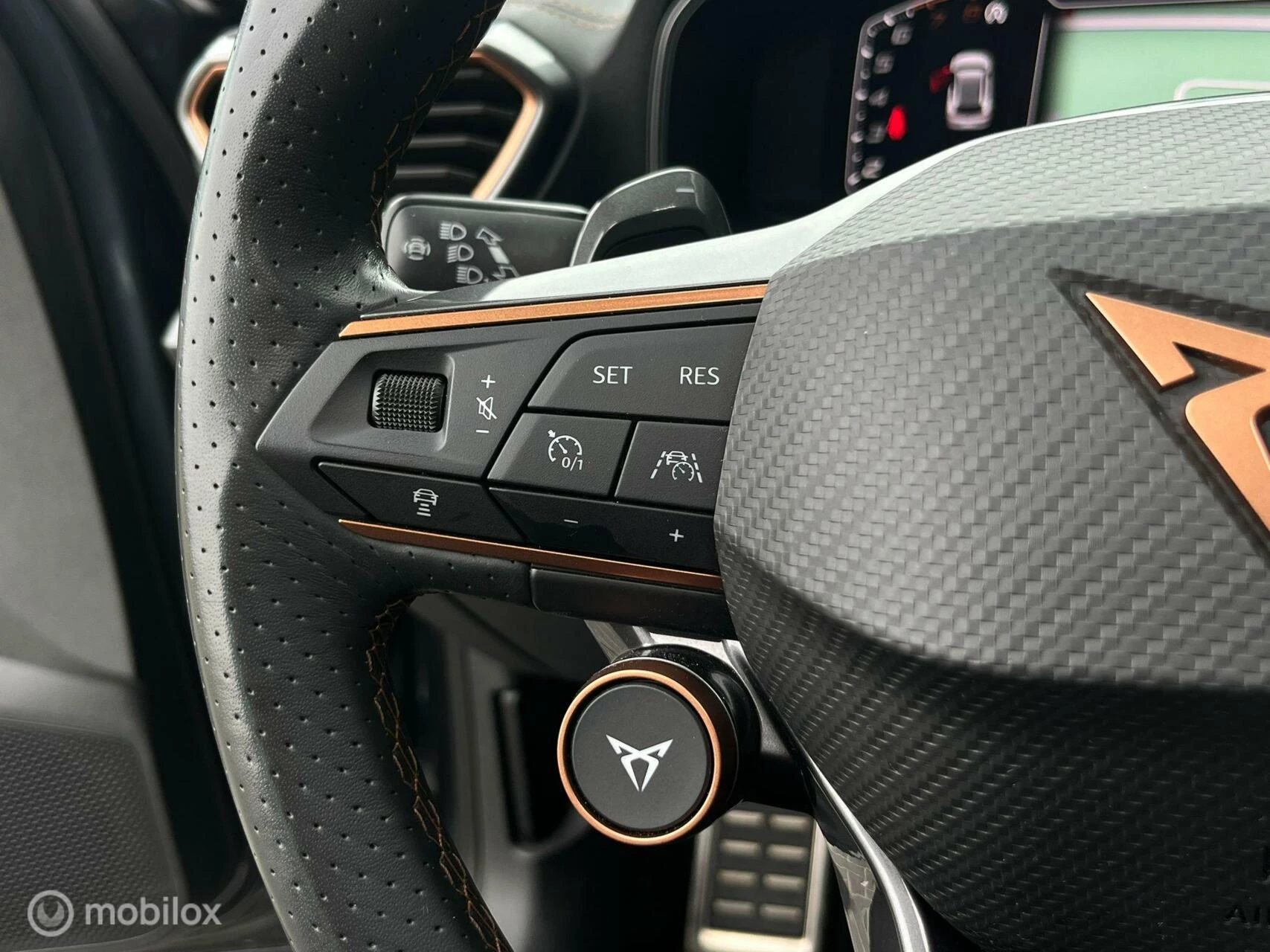 Hoofdafbeelding CUPRA Formentor