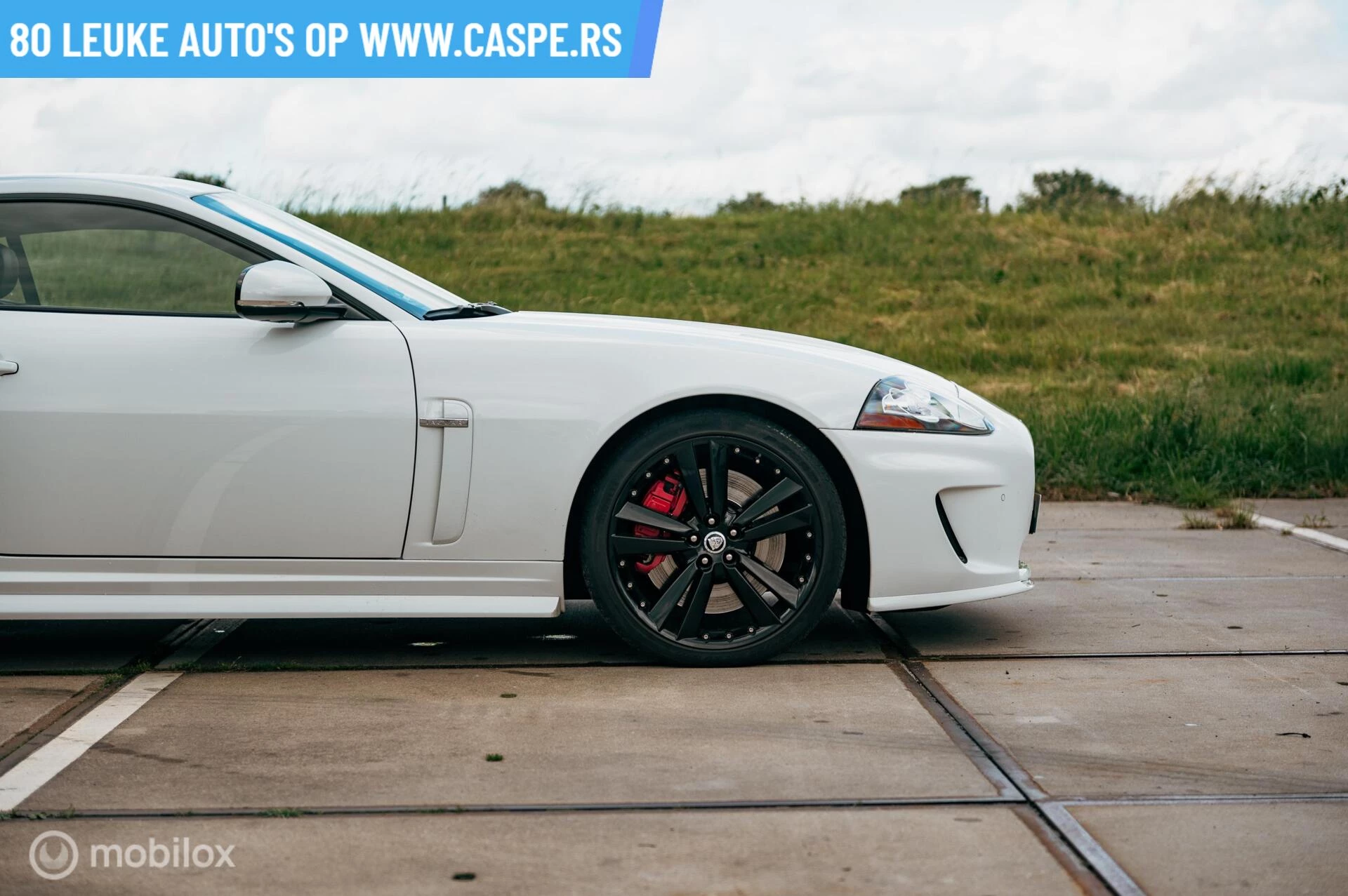 Hoofdafbeelding Jaguar XK
