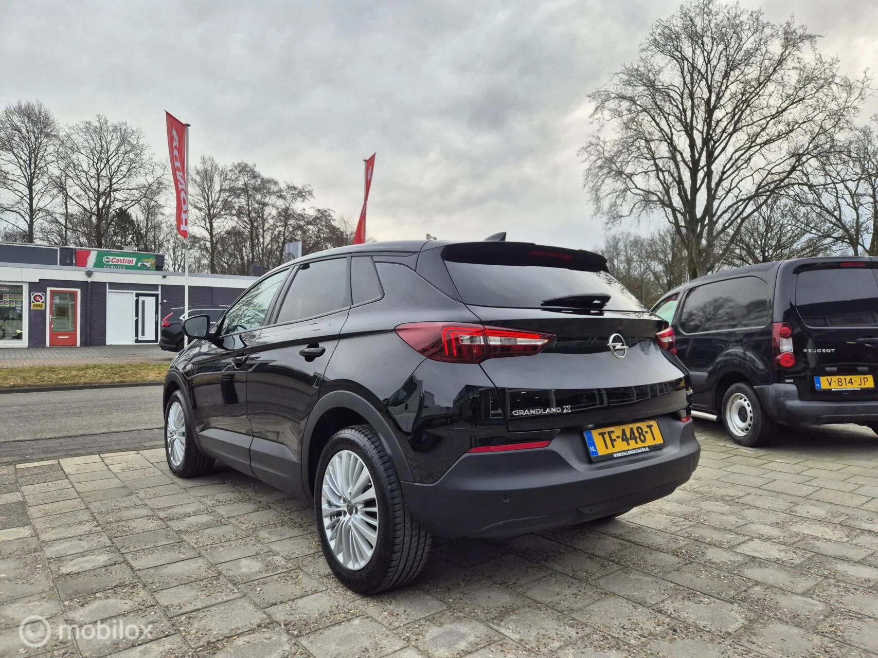 Hoofdafbeelding Opel Grandland X