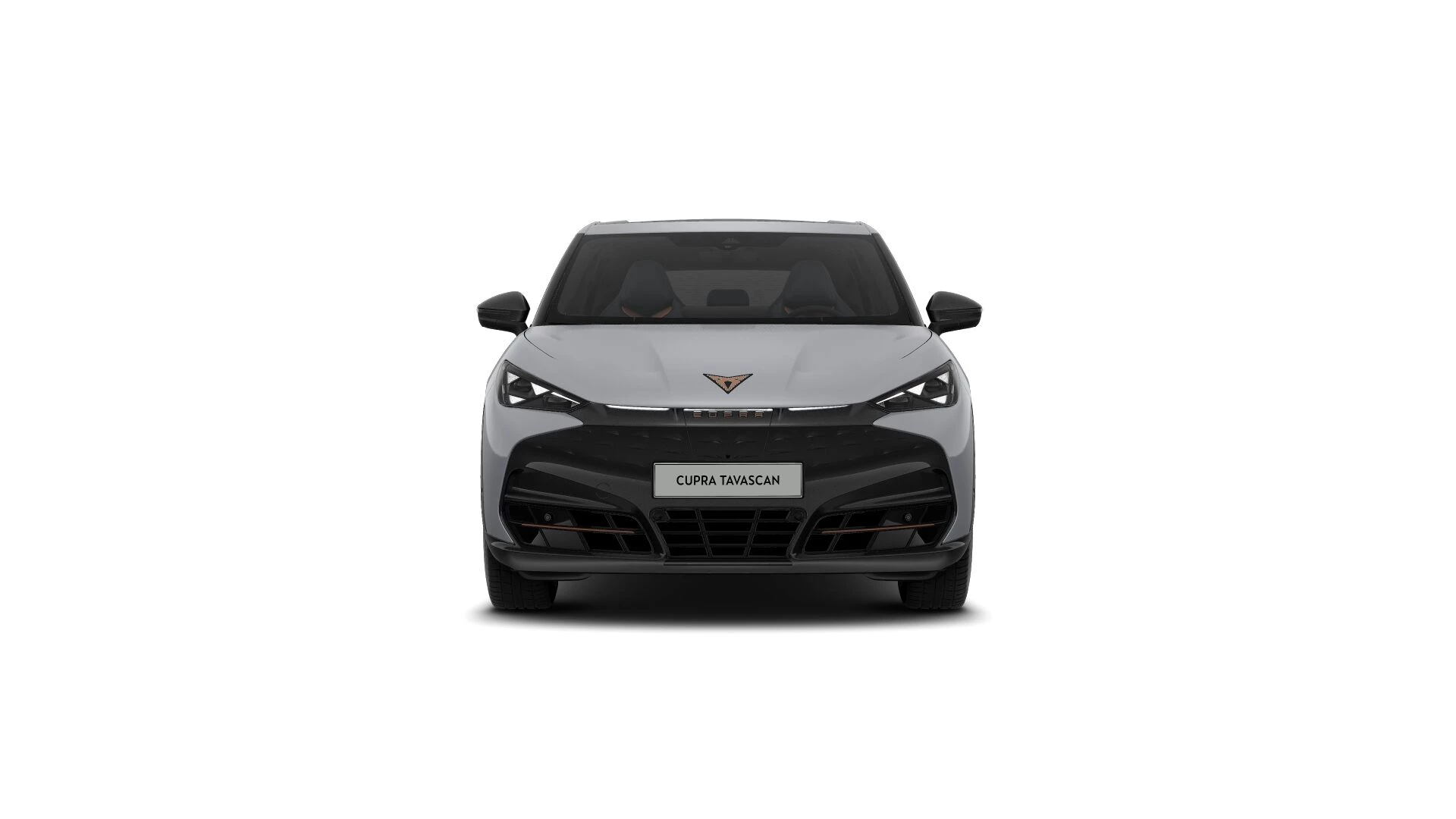 Hoofdafbeelding CUPRA Tavascan