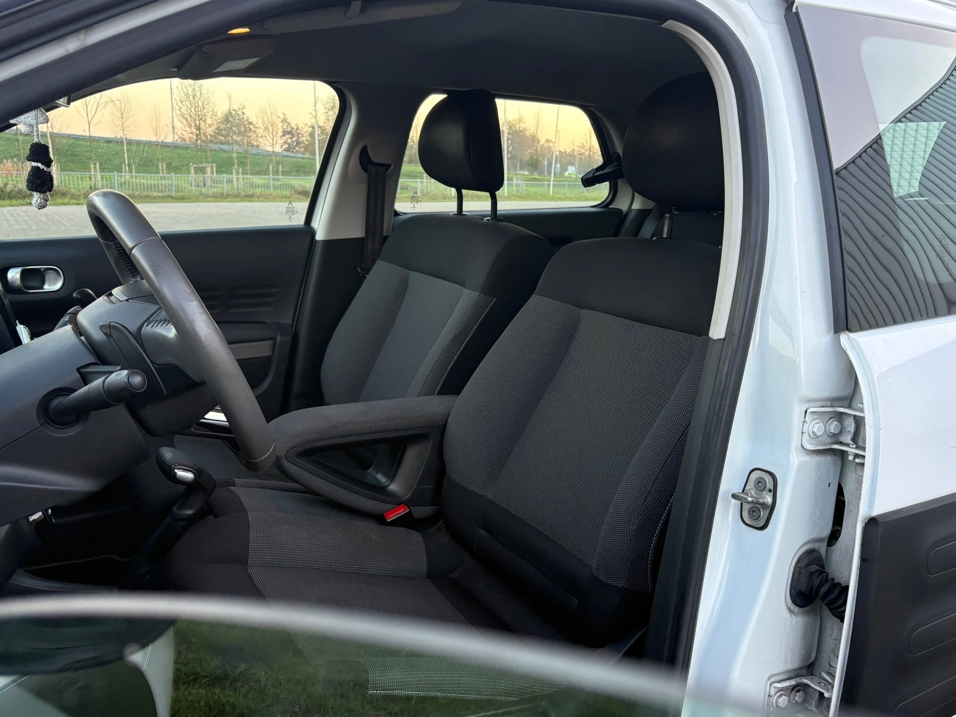 Hoofdafbeelding Citroën C4 Cactus