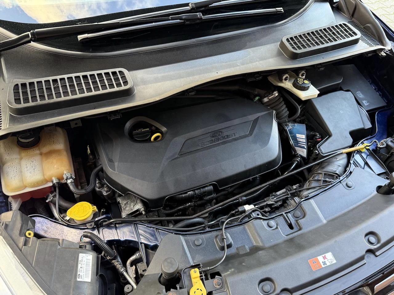 Hoofdafbeelding Ford Kuga