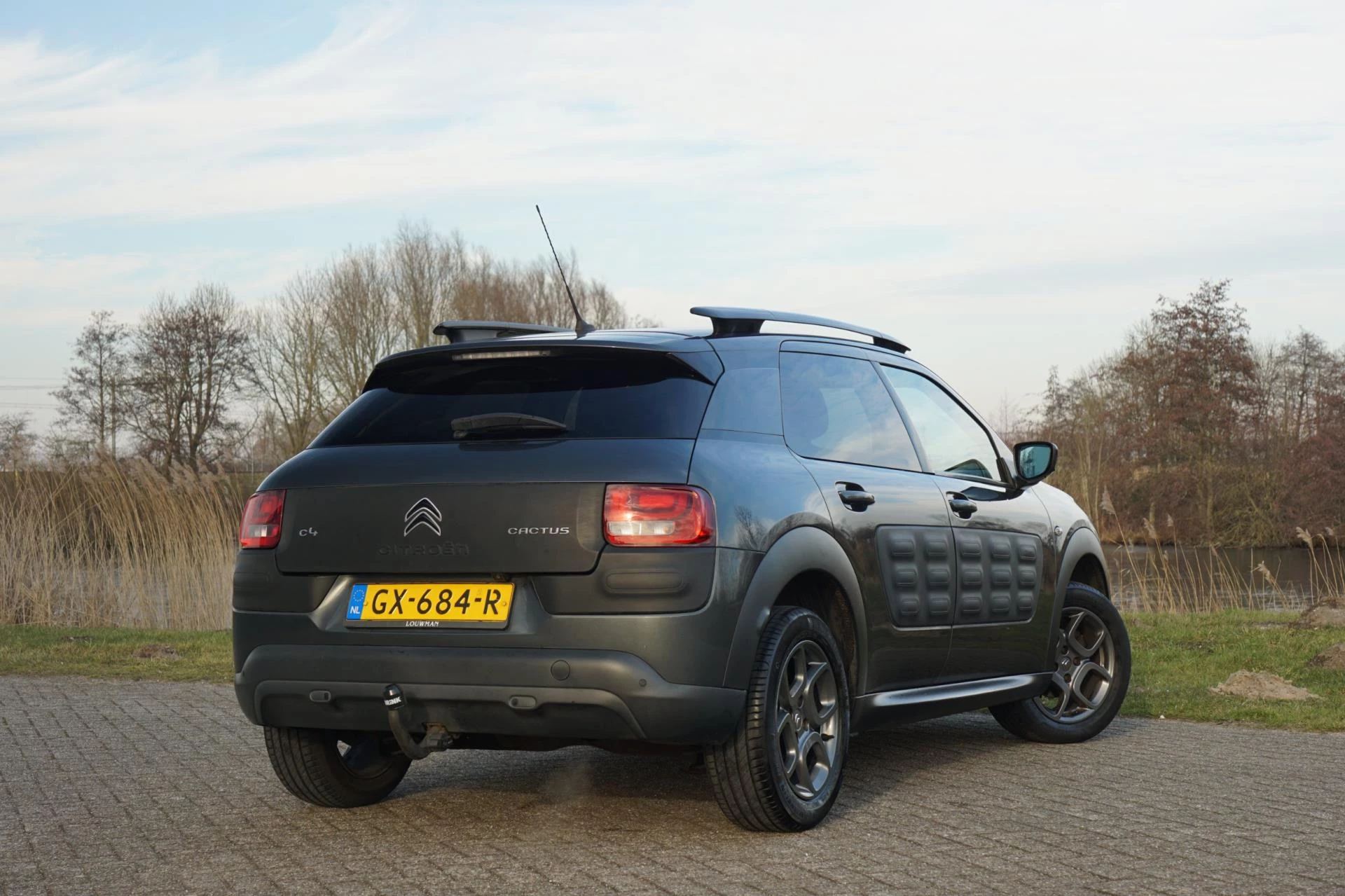 Hoofdafbeelding Citroën C4 Cactus