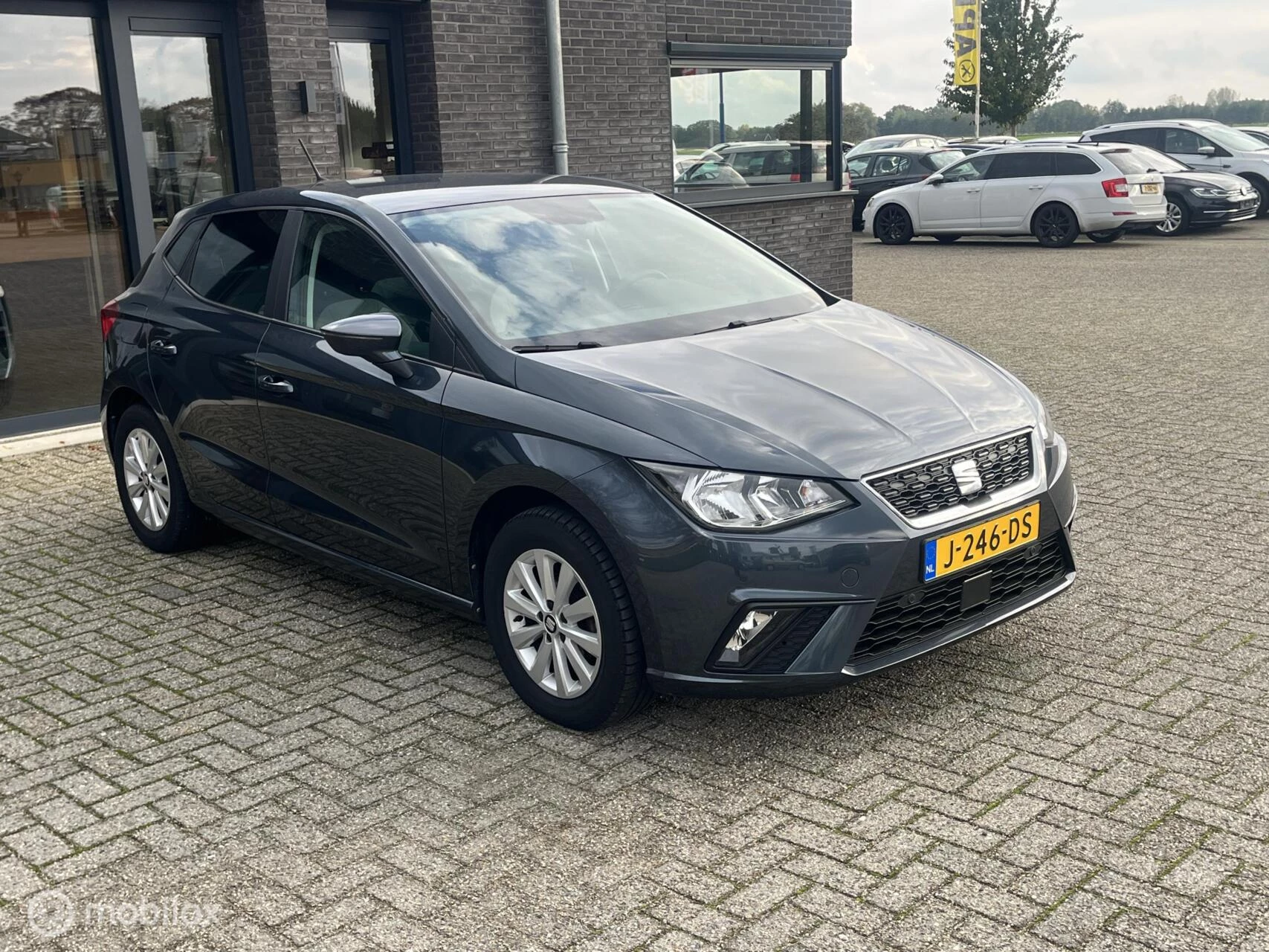 Hoofdafbeelding SEAT Ibiza