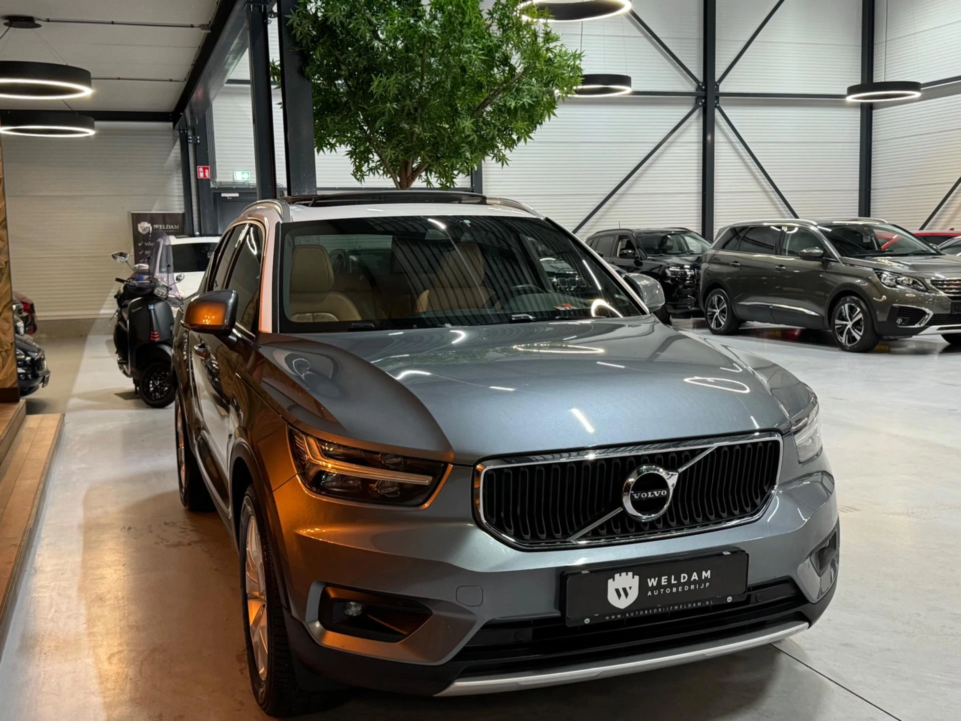 Hoofdafbeelding Volvo XC40