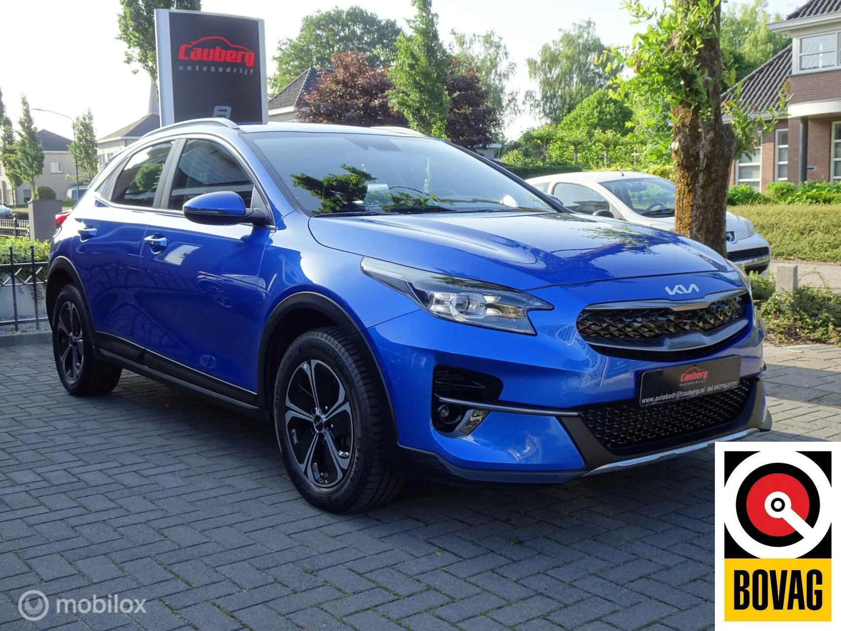Hoofdafbeelding Kia XCeed