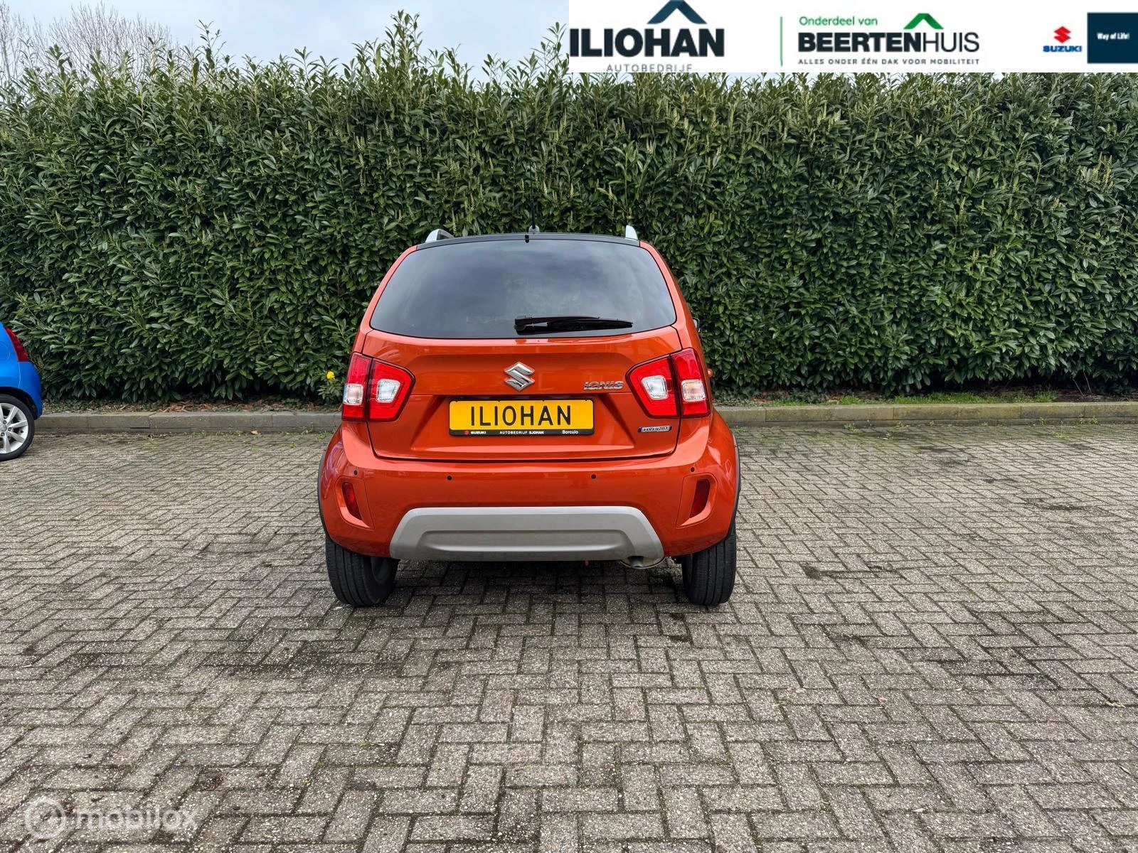 Hoofdafbeelding Suzuki Ignis