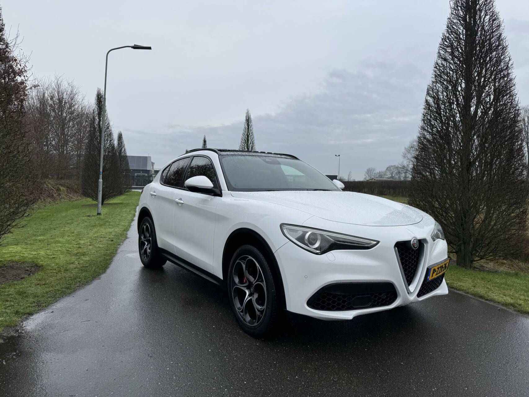 Hoofdafbeelding Alfa Romeo Stelvio