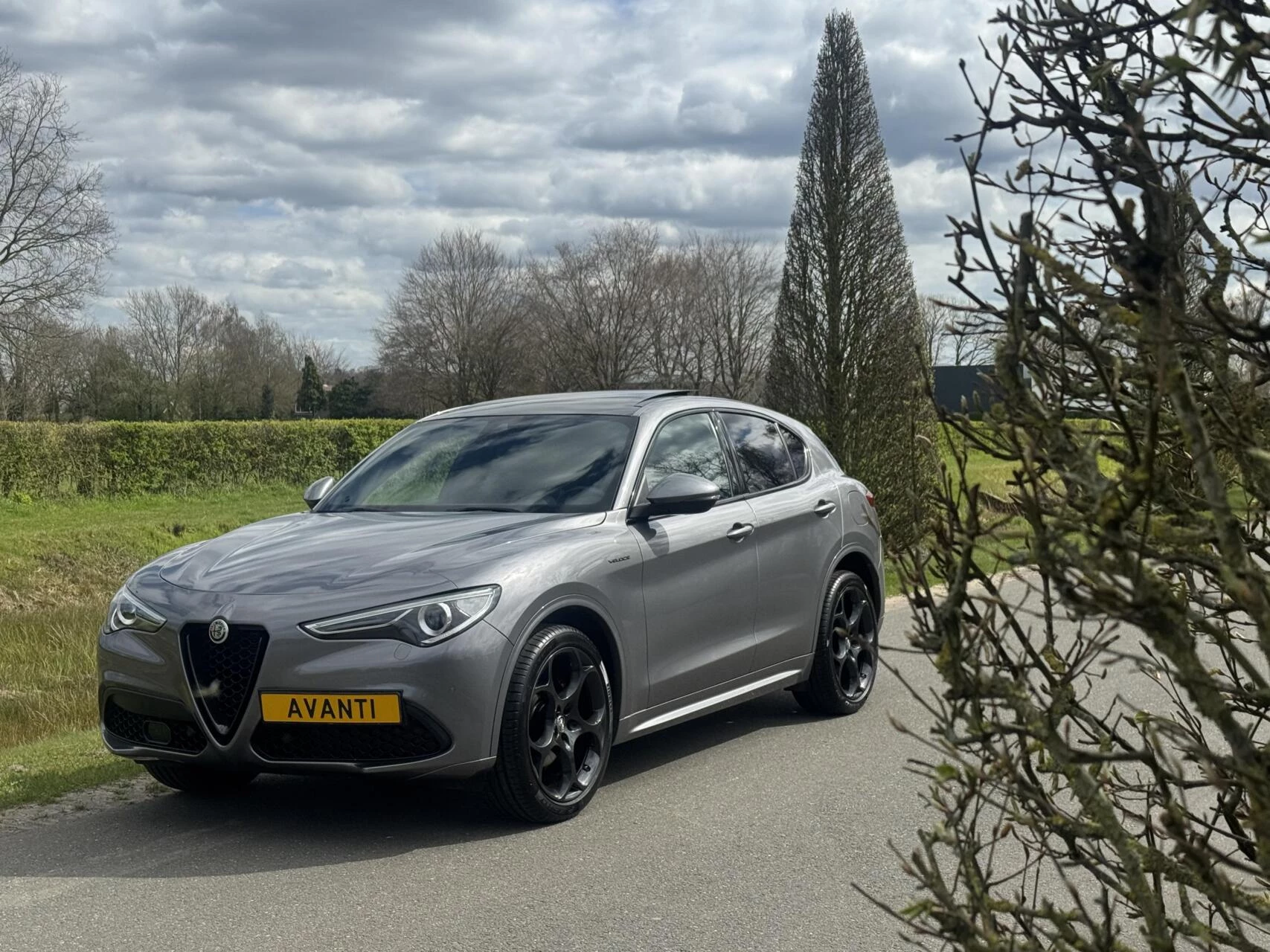 Hoofdafbeelding Alfa Romeo Stelvio