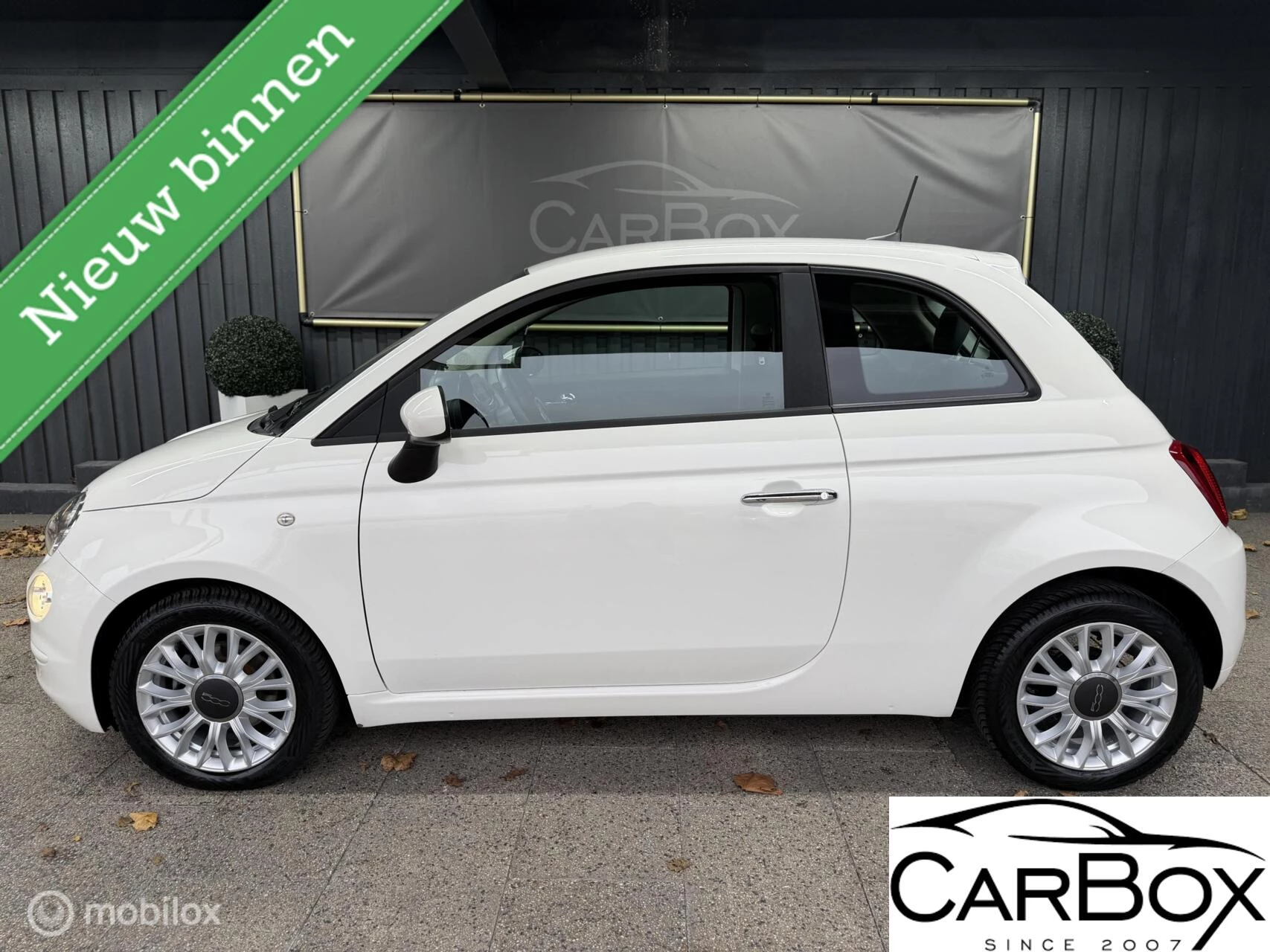 Hoofdafbeelding Fiat 500