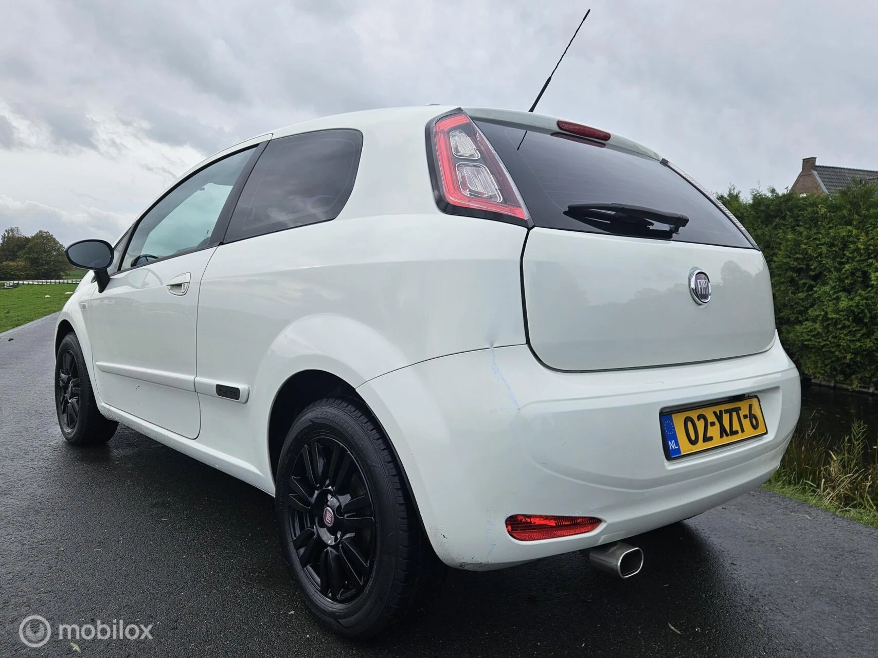 Hoofdafbeelding Fiat Punto