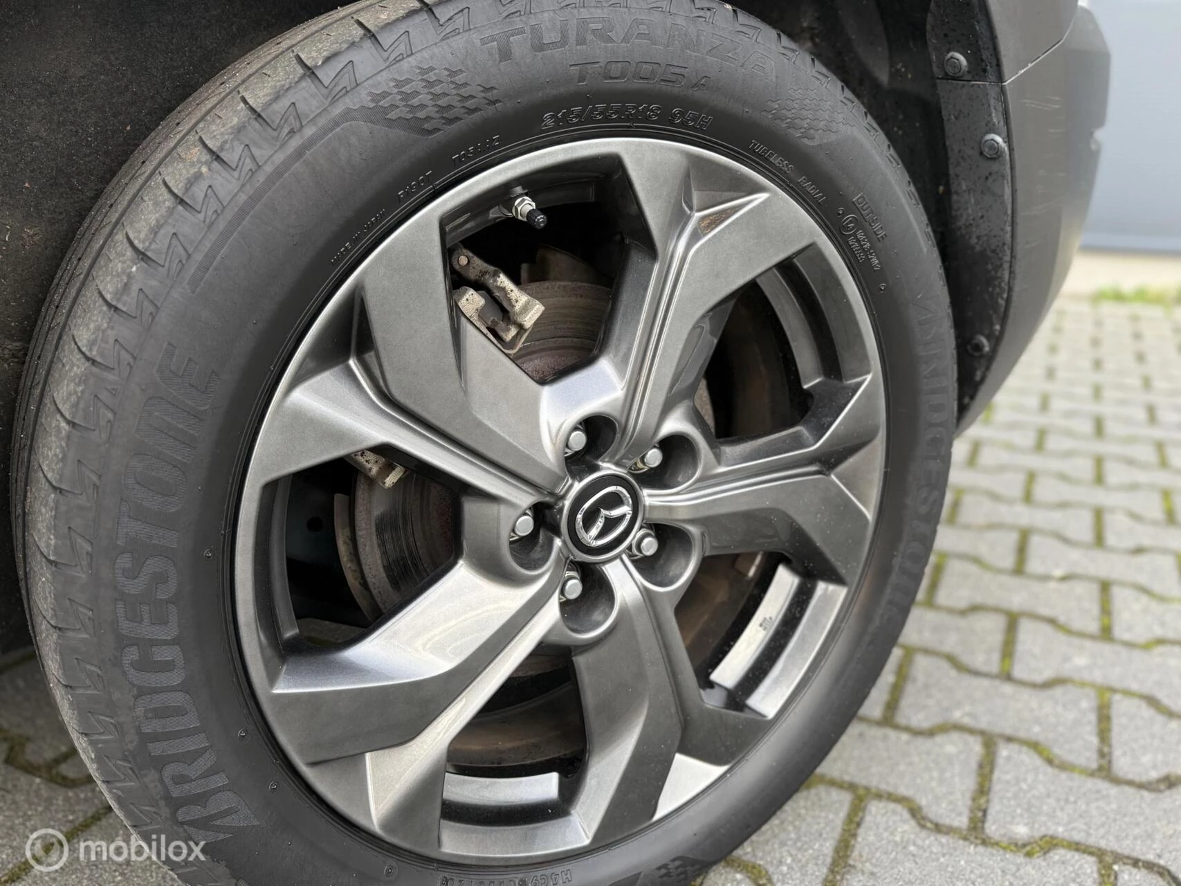 Hoofdafbeelding Mazda MX-30