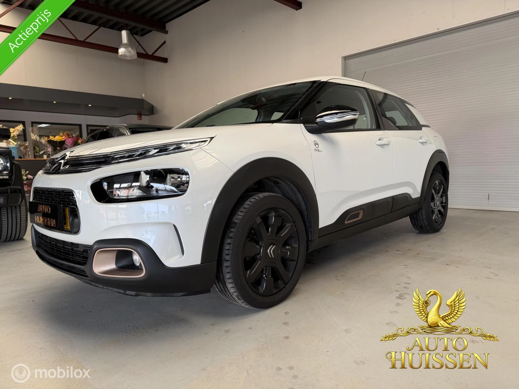 Hoofdafbeelding Citroën C4 Cactus