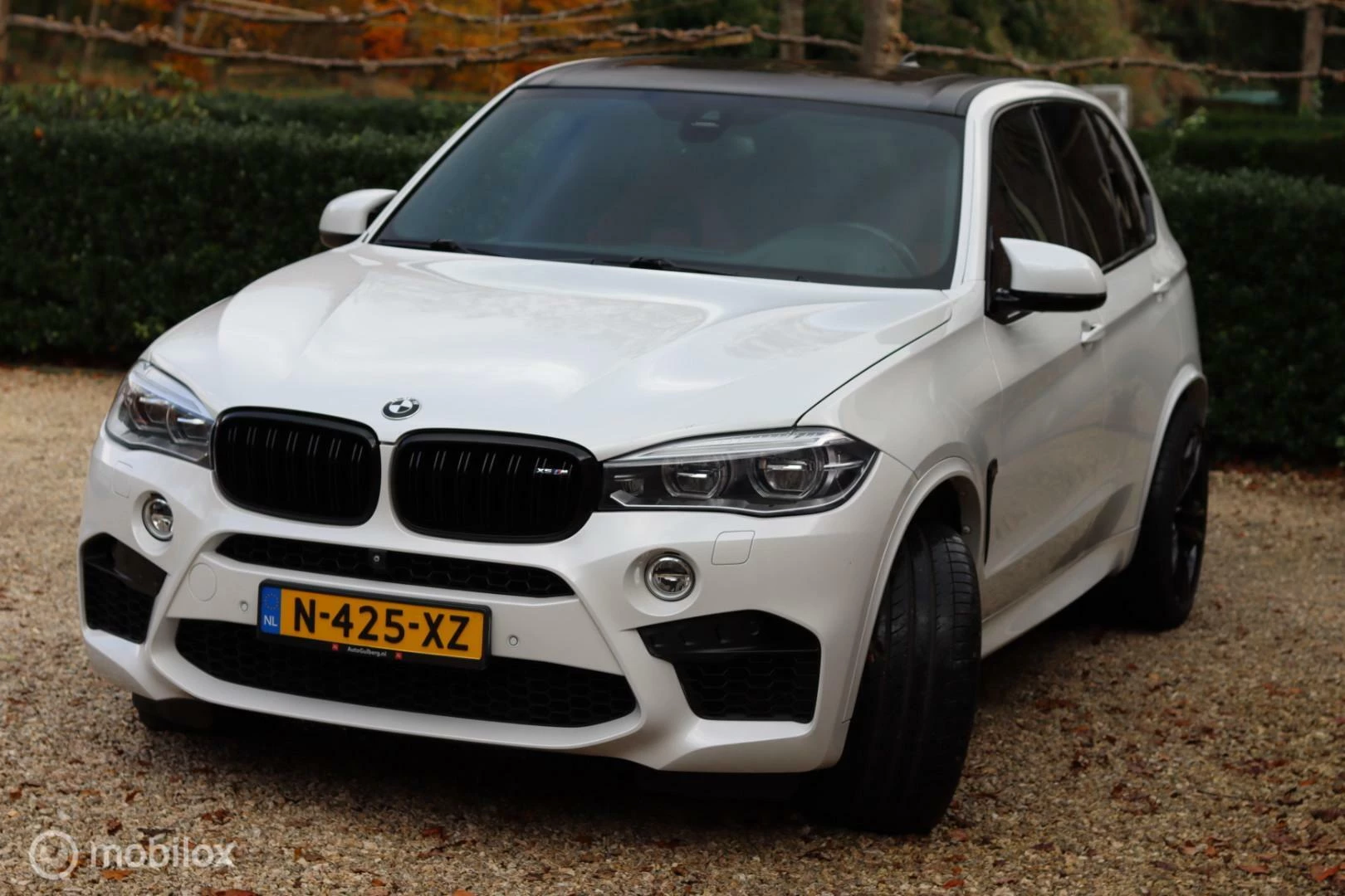 Hoofdafbeelding BMW X5