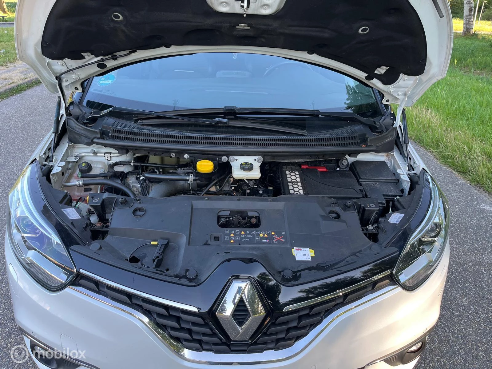 Hoofdafbeelding Renault Scénic