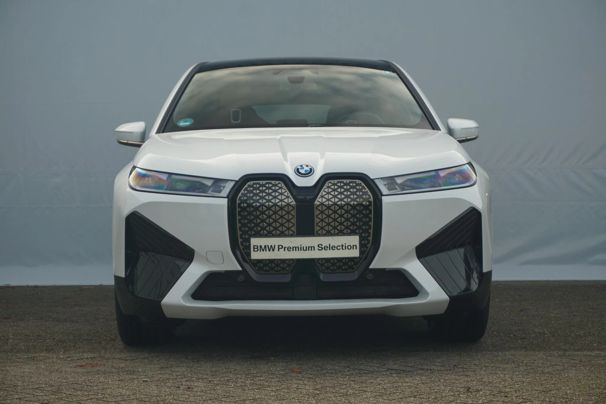 Hoofdafbeelding BMW iX