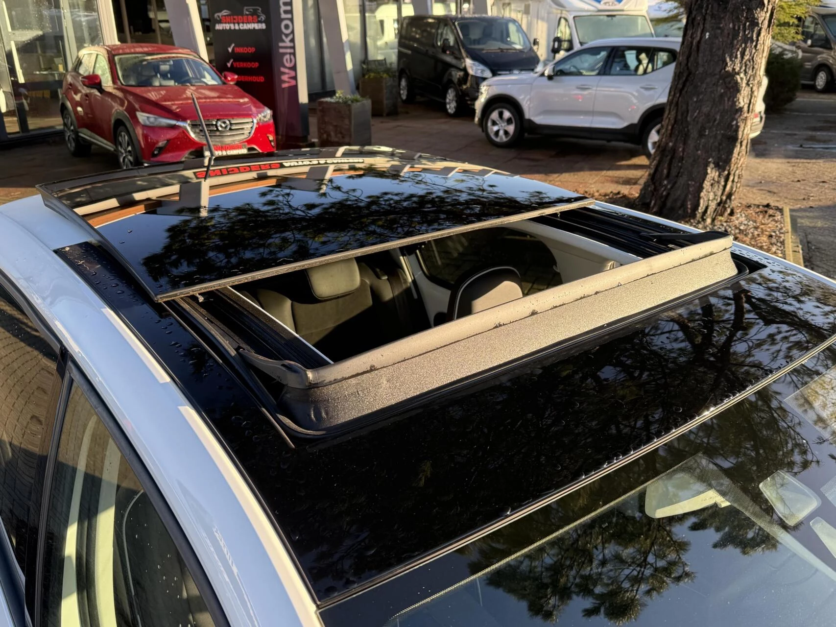 Hoofdafbeelding SEAT Mii