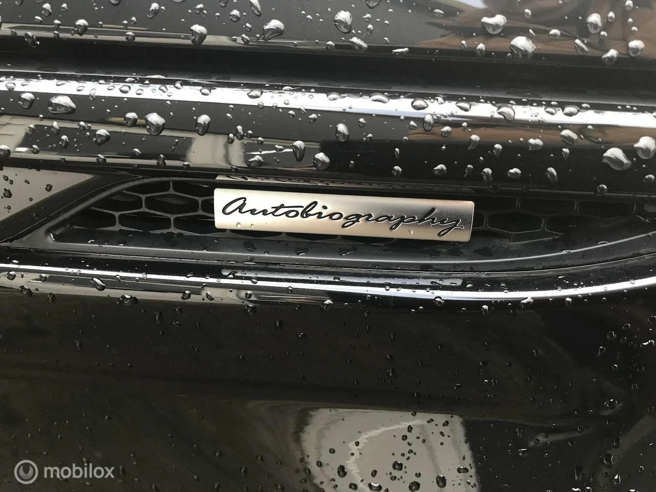 Hoofdafbeelding Land Rover Range Rover Evoque