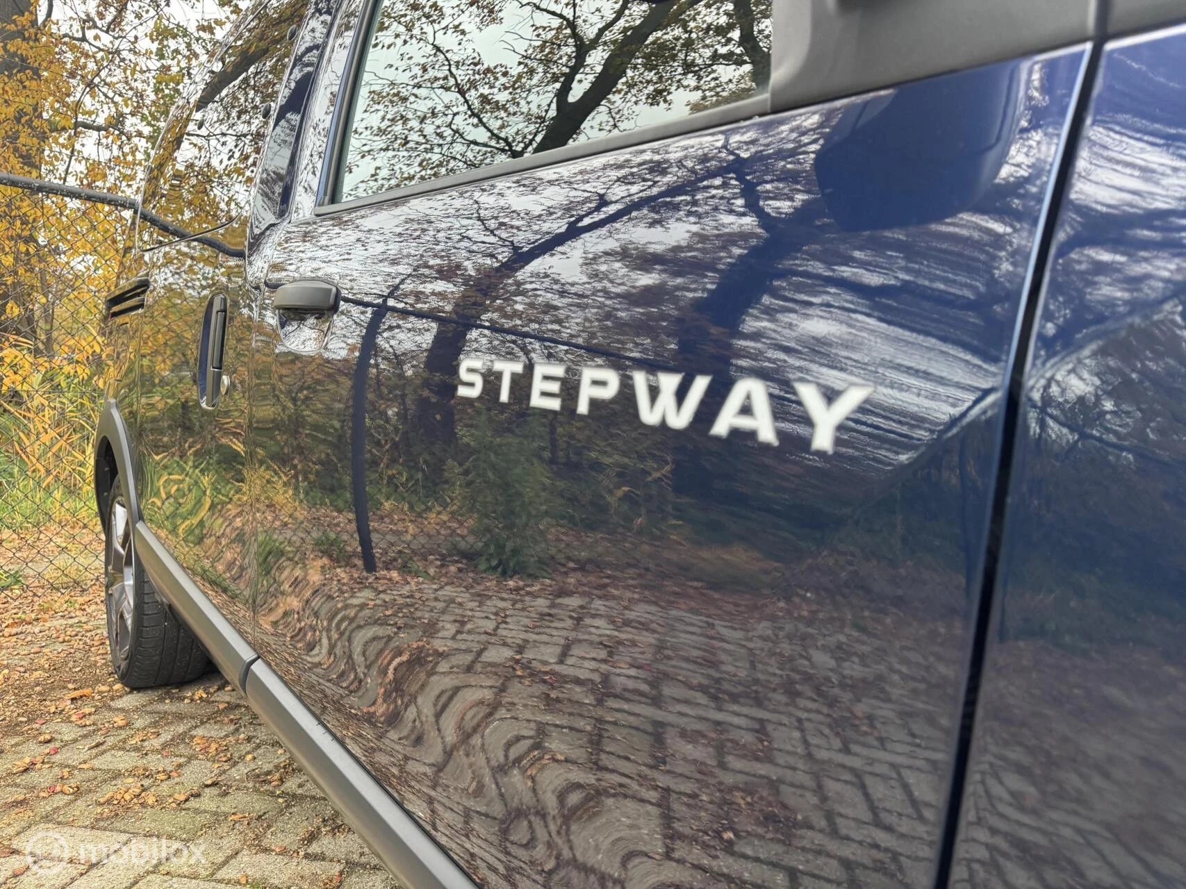 Hoofdafbeelding Dacia Dokker