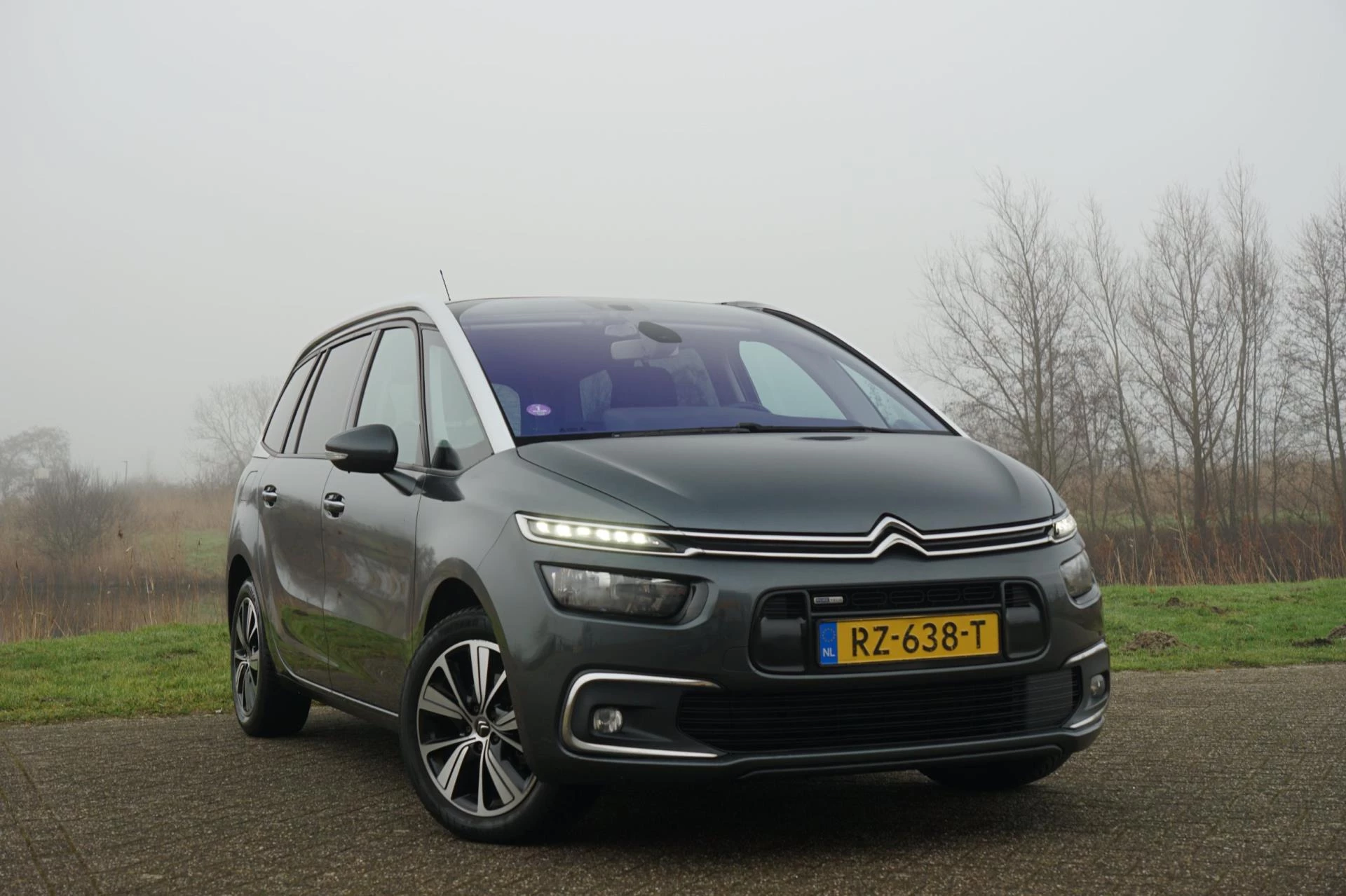 Hoofdafbeelding Citroën Grand C4 Picasso