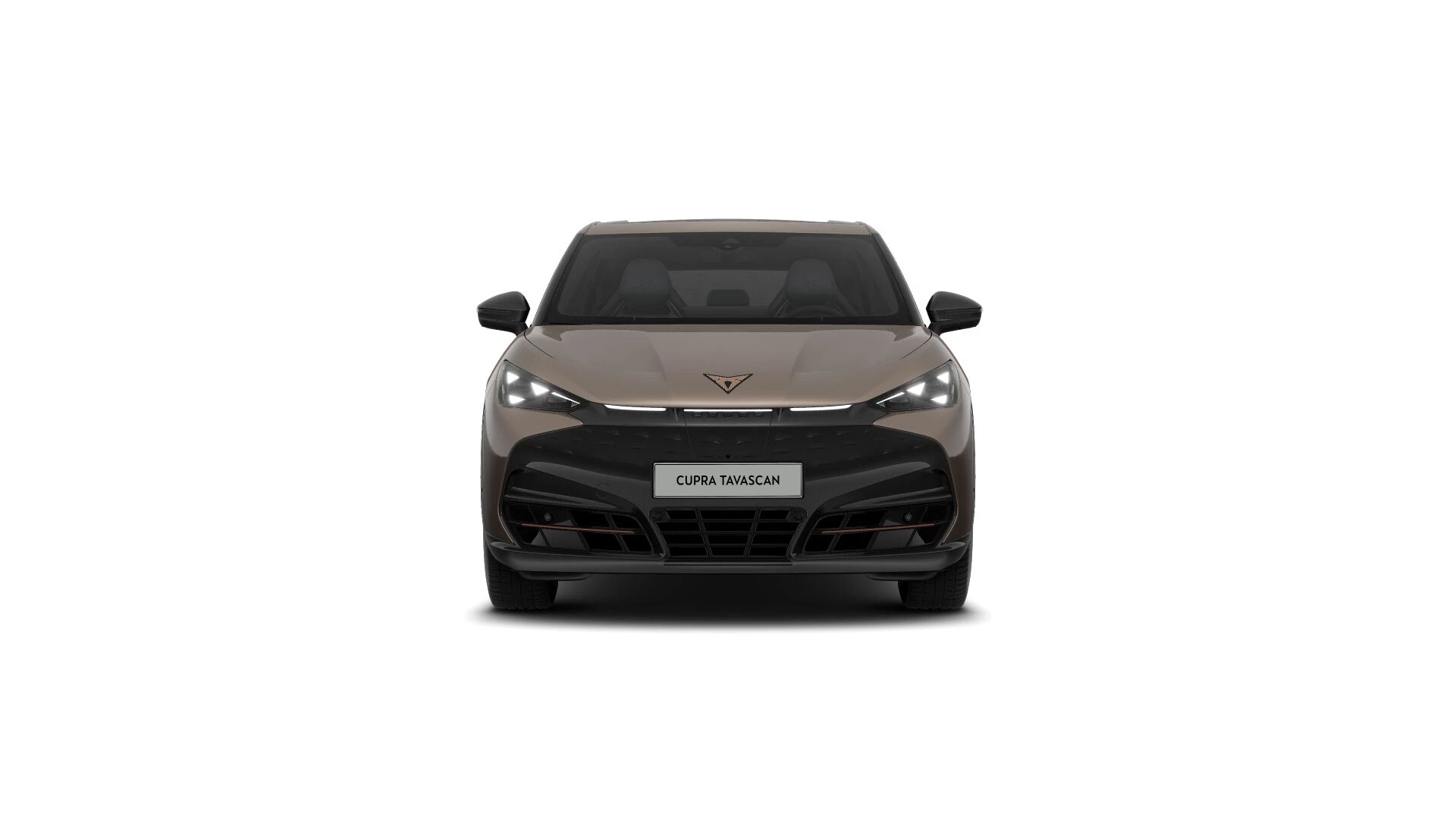 Hoofdafbeelding CUPRA Tavascan