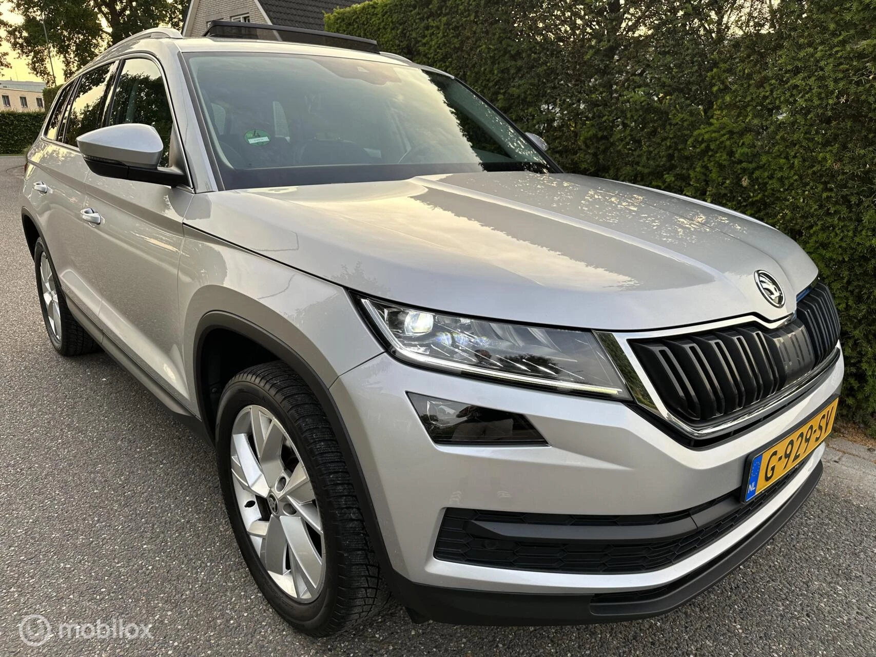 Hoofdafbeelding Škoda Kodiaq