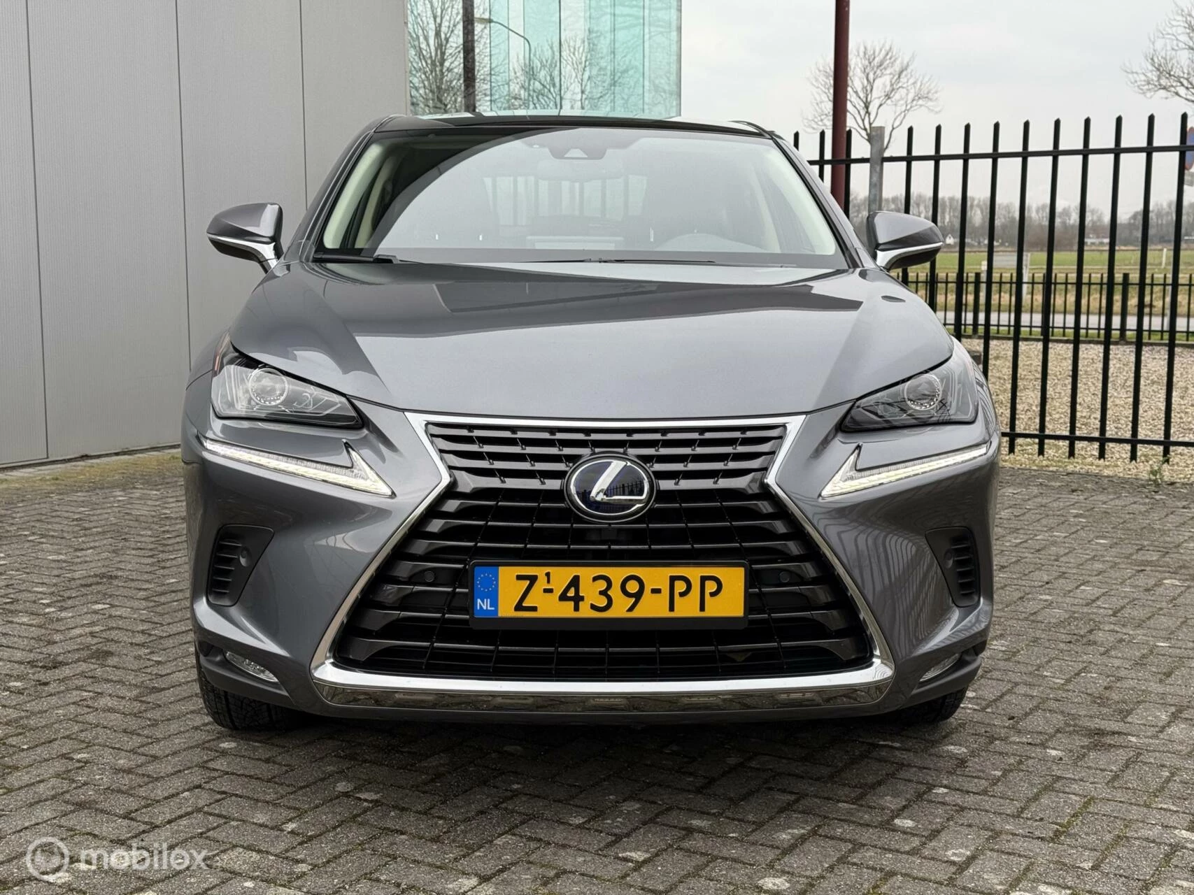 Hoofdafbeelding Lexus NX